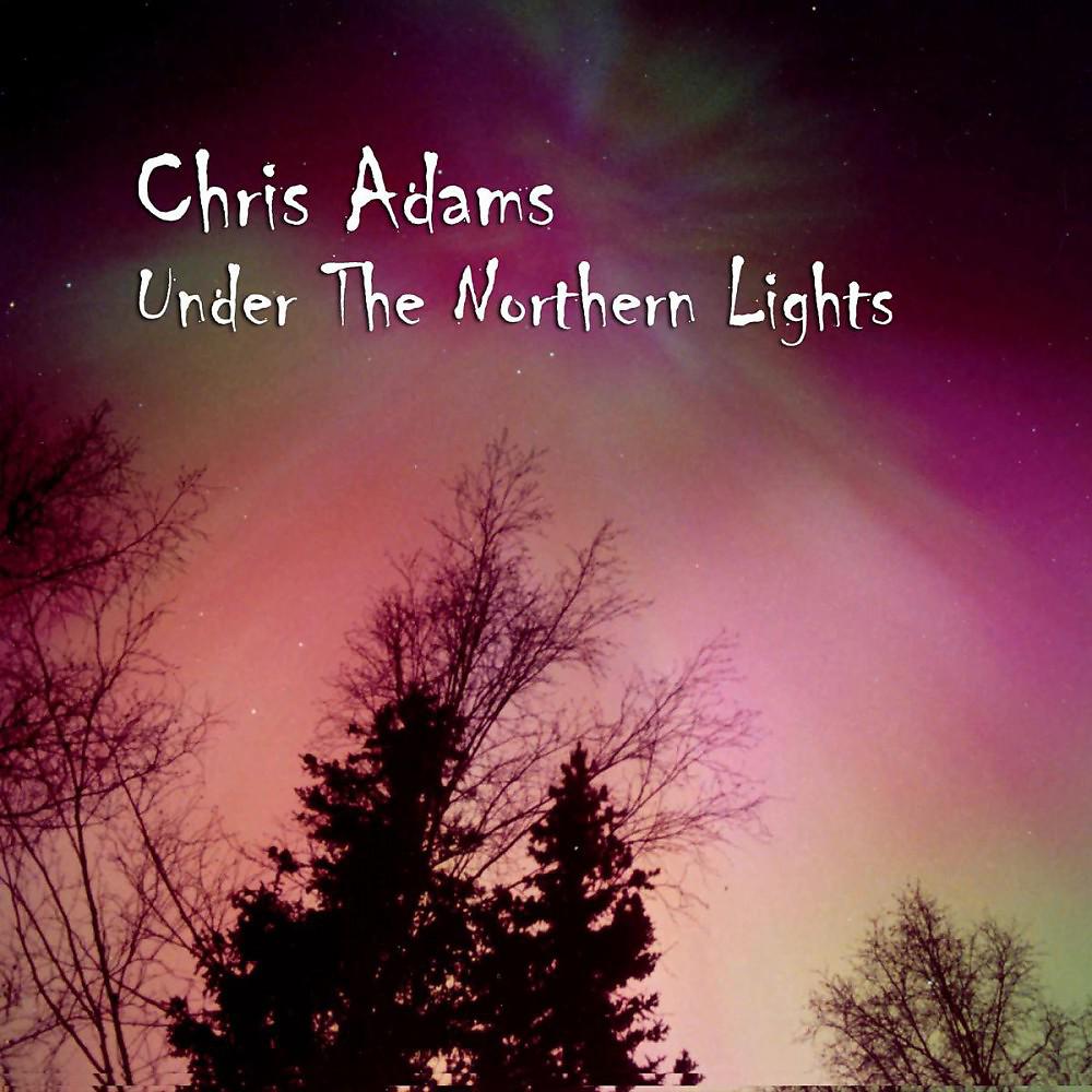 Постер альбома Under the Northern Lights
