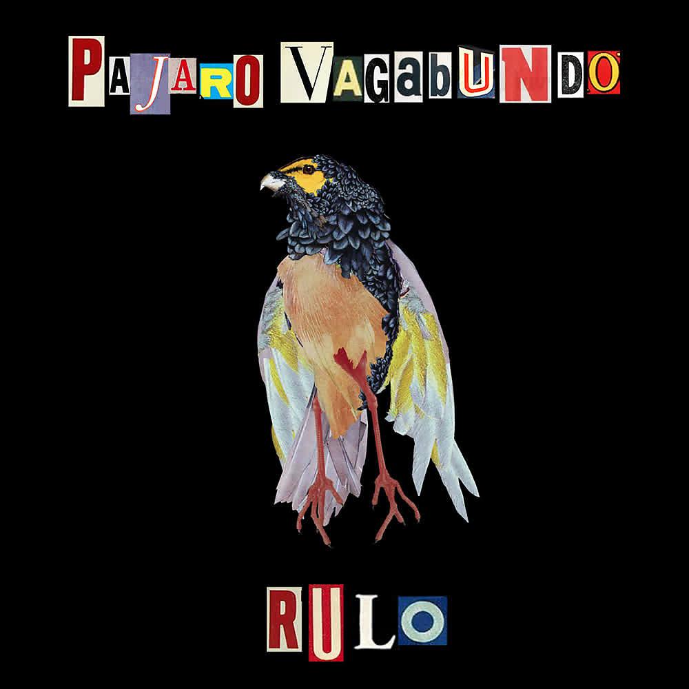 Постер альбома Pájaro Vagabundo