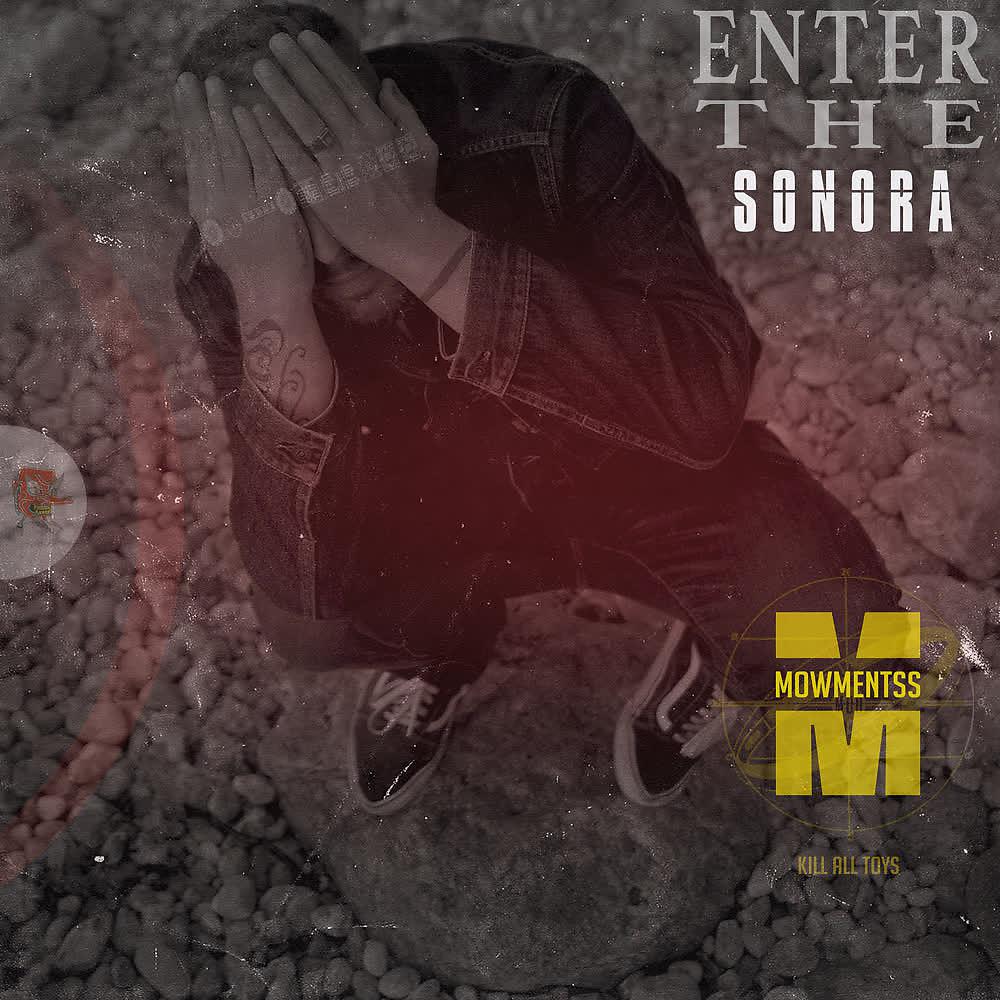 Постер альбома Enter The SONORA