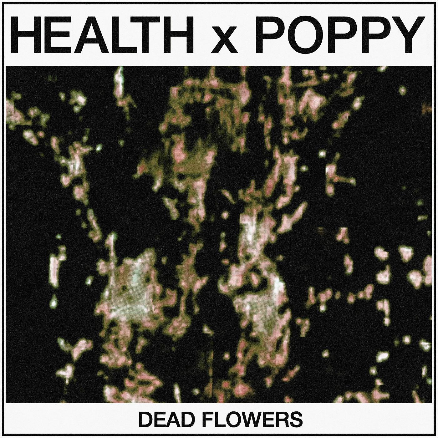 Постер альбома DEAD FLOWERS