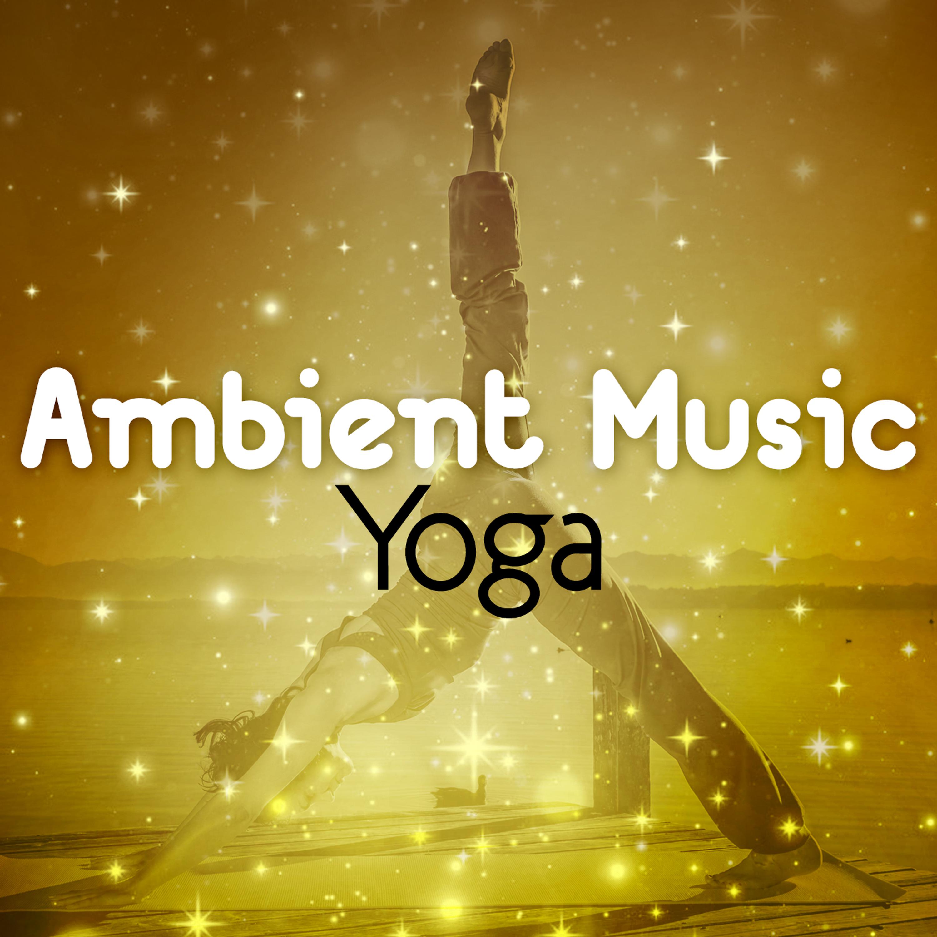 Постер альбома Ambient Music: Yoga