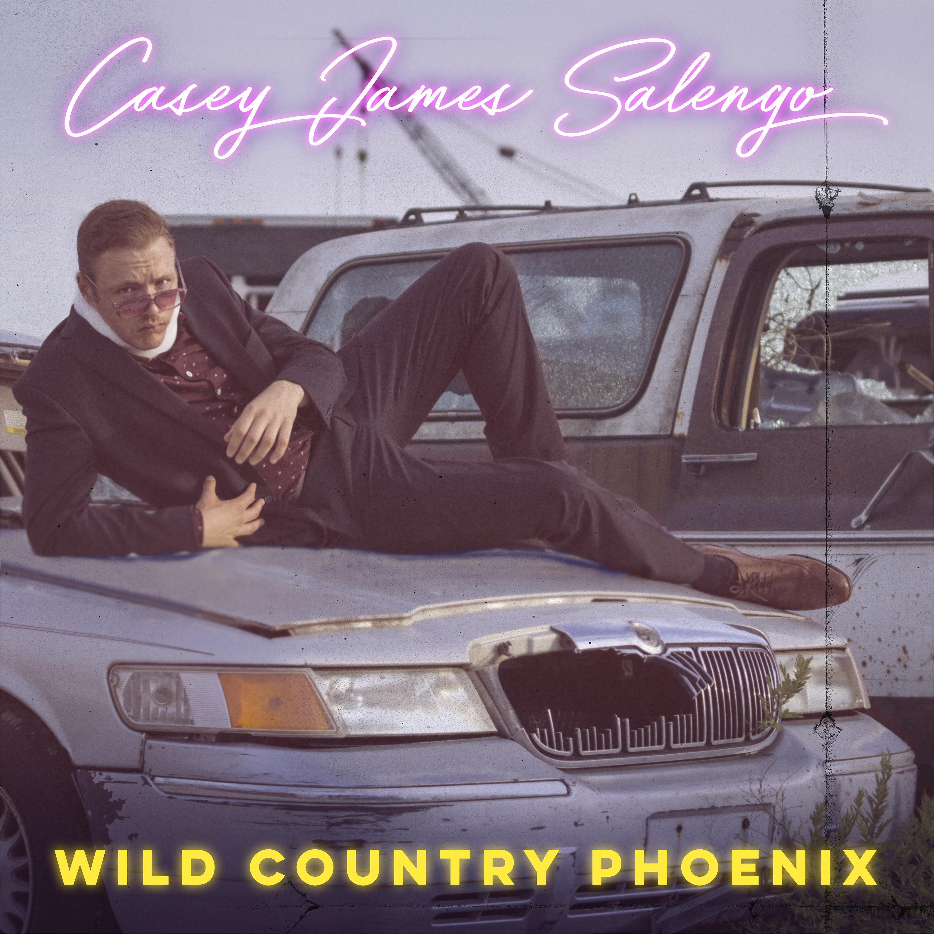 Постер альбома Wild Country Phoenix
