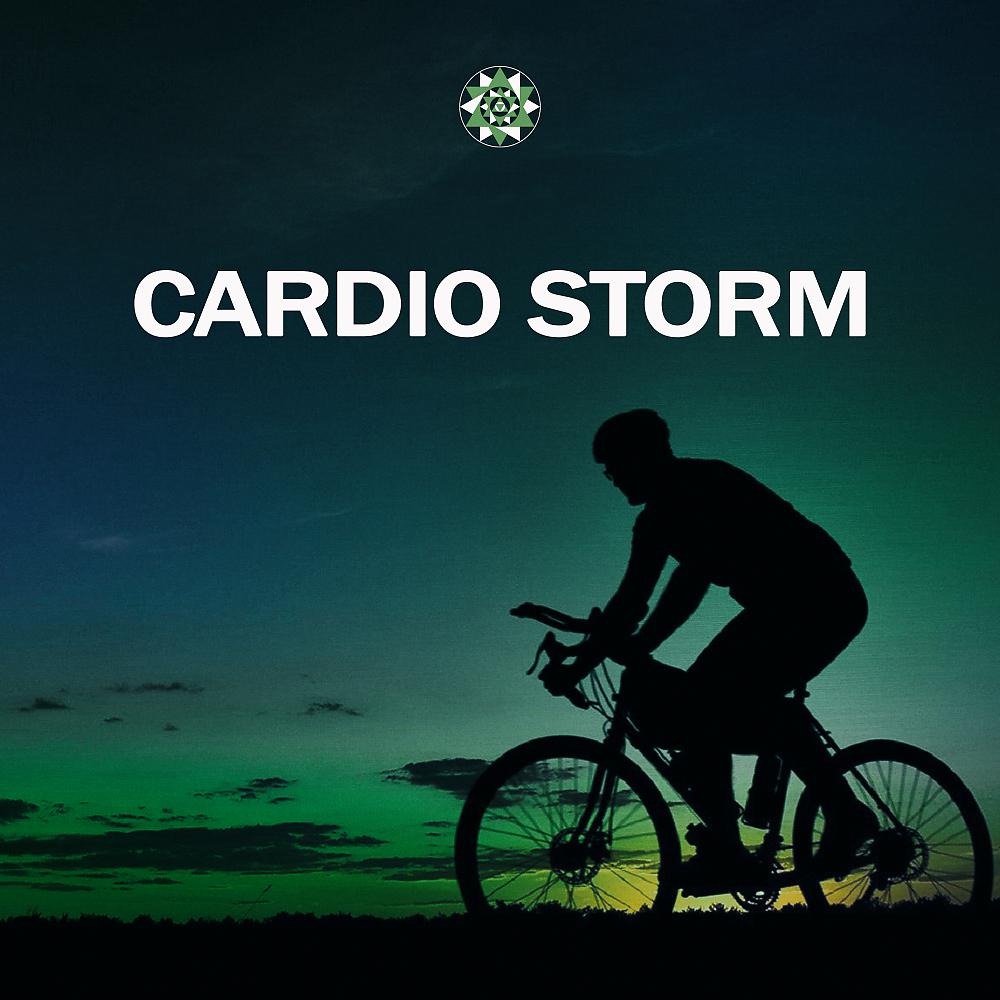 Постер альбома Cardio Storm
