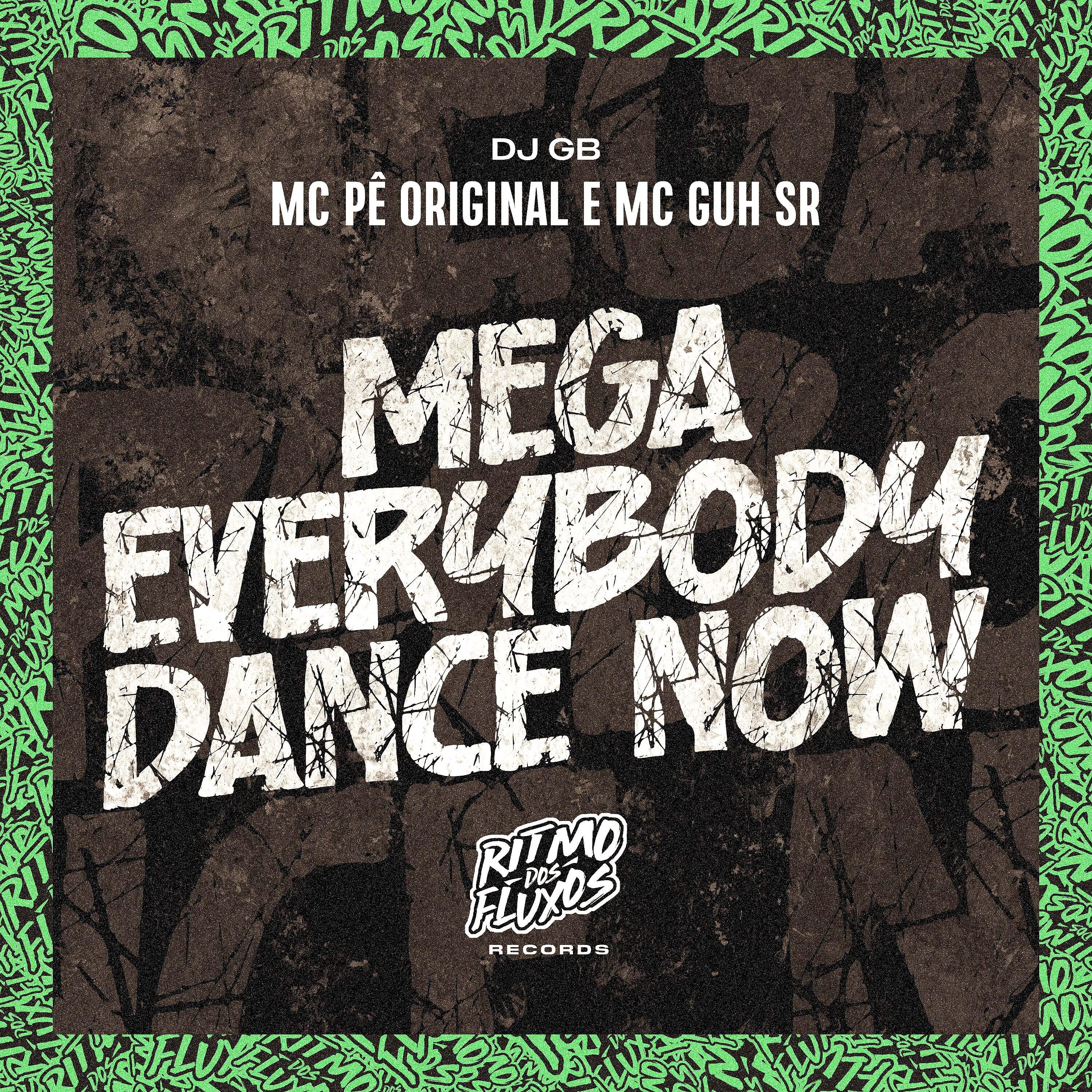 Постер альбома Mega Everybody Dance Now