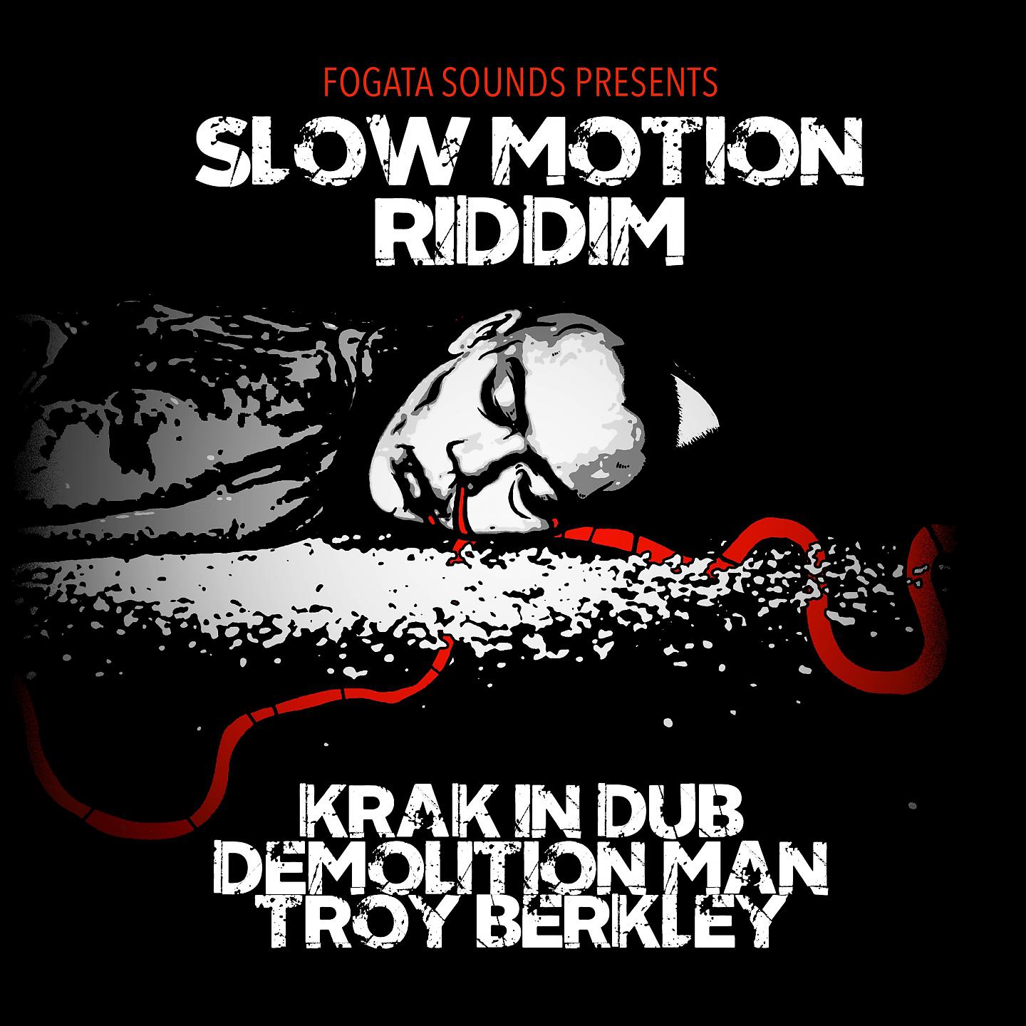 Постер альбома Slow Motion Riddim