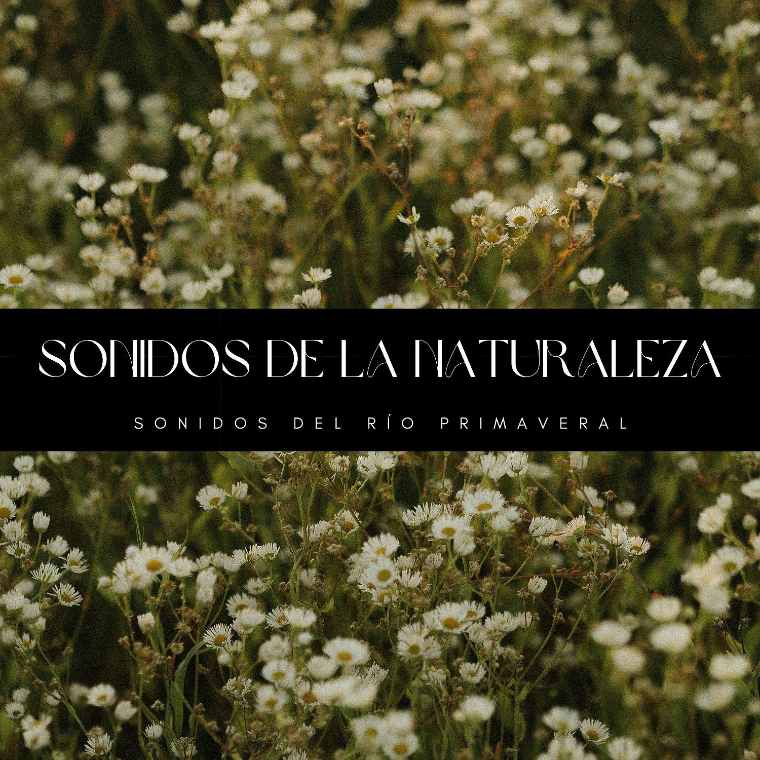 Постер альбома Sonidos De La Naturaleza: Sonidos Del Río Primaveral