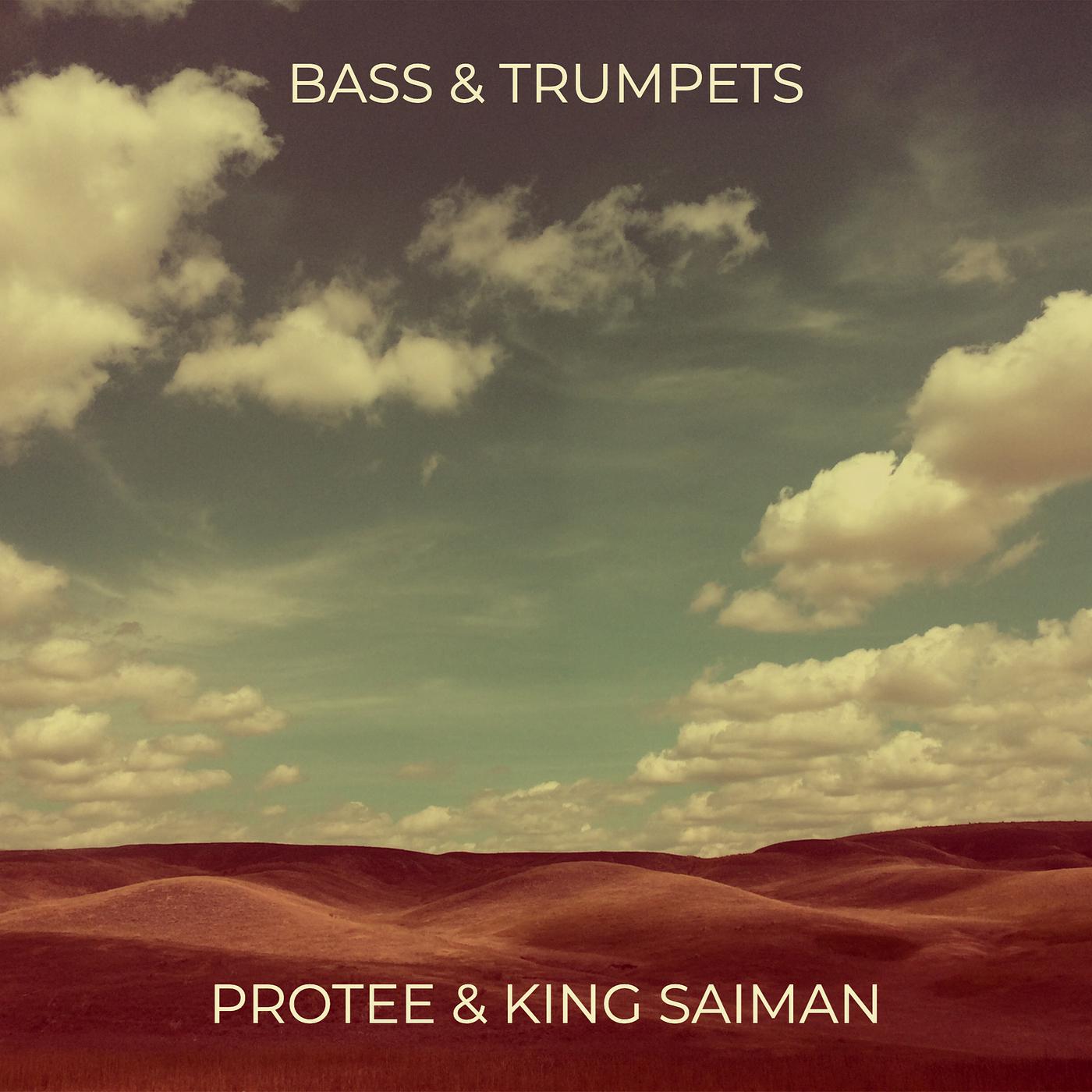 Постер альбома Bass & Trumpets