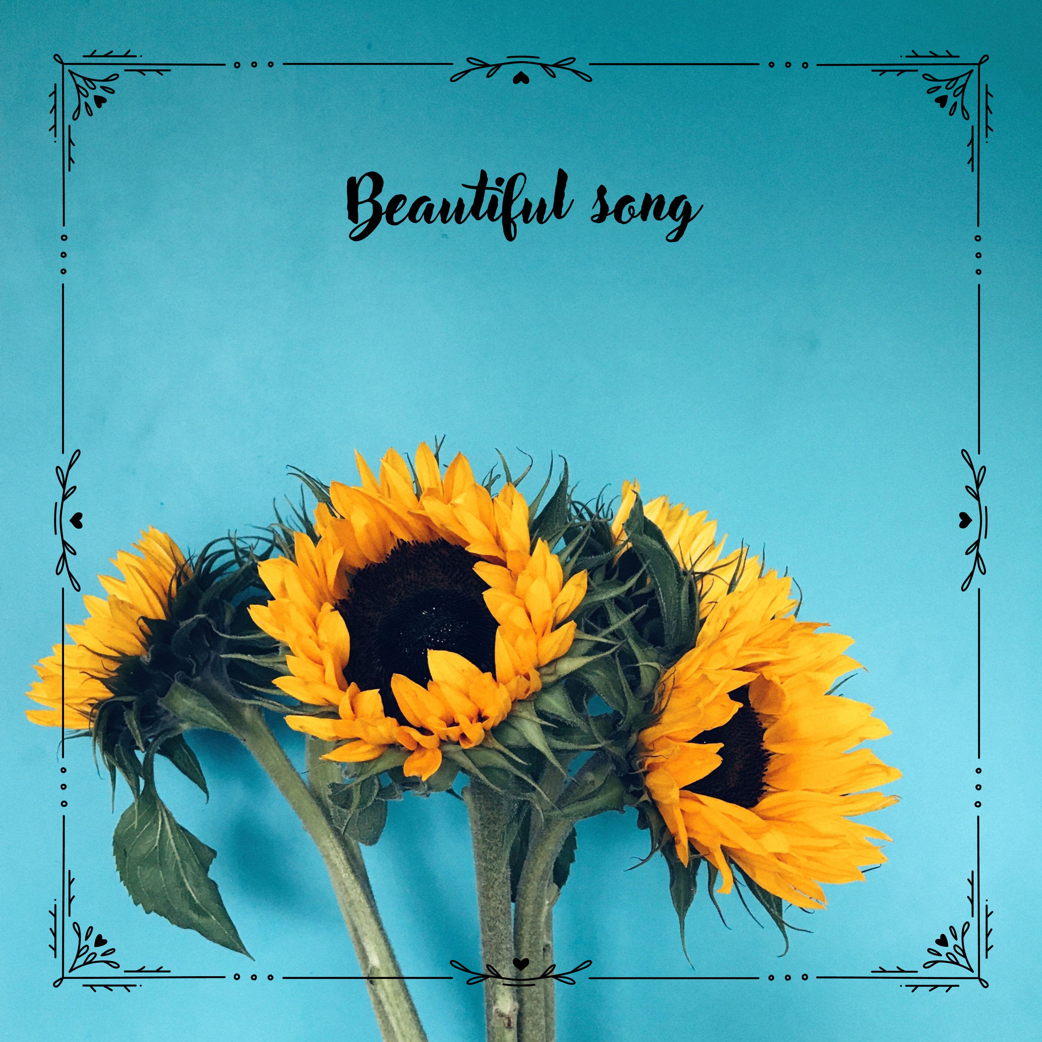 Постер альбома Beautiful song