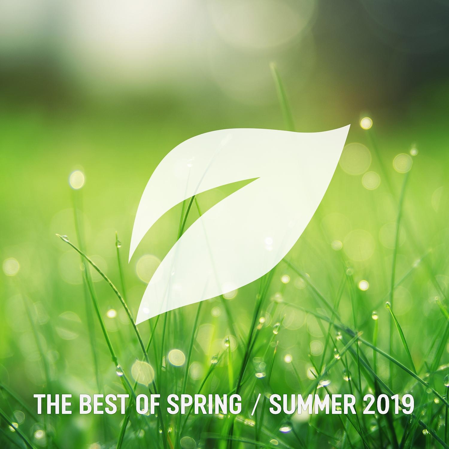 Постер альбома The Best of Spring / Summer 2019