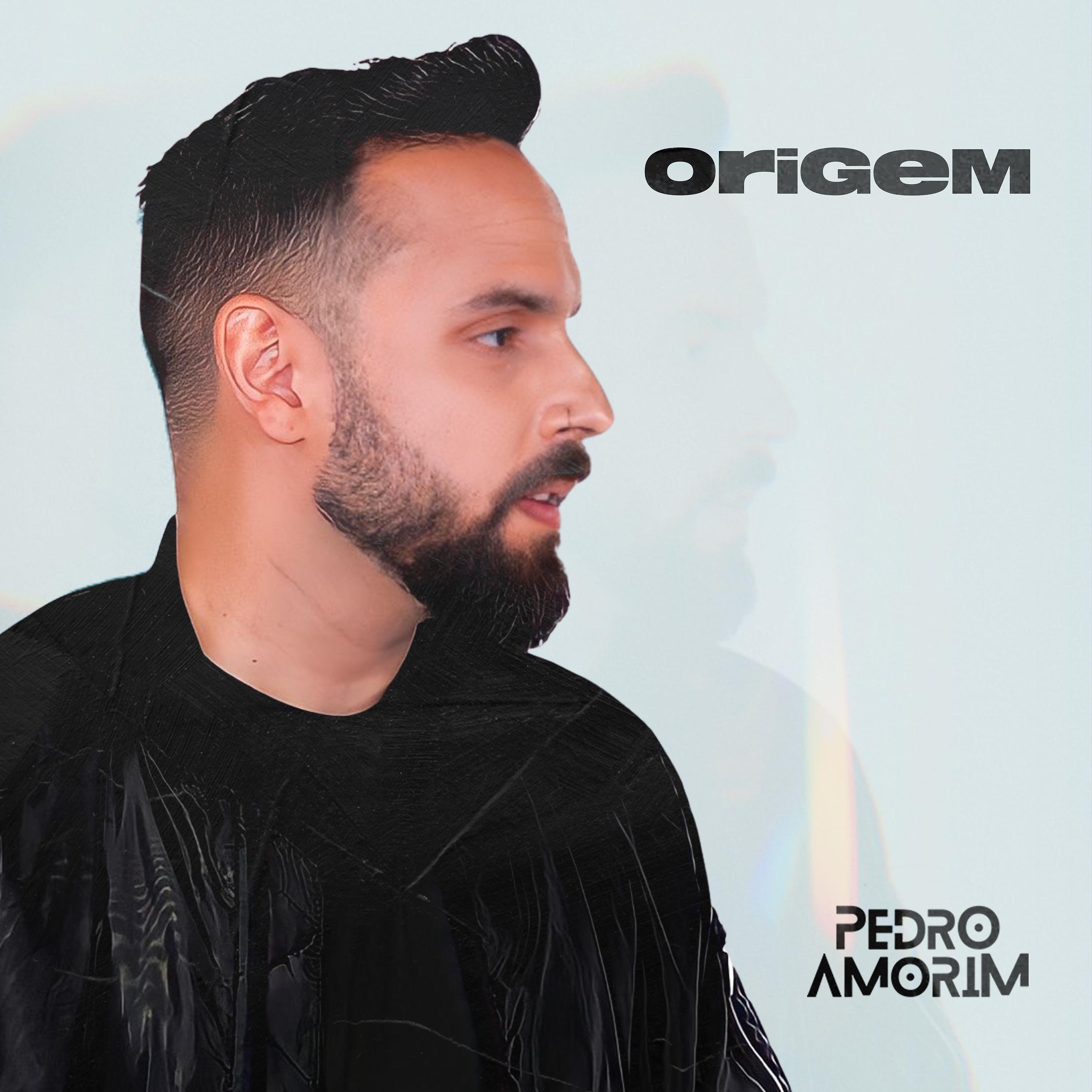 Постер альбома Origem