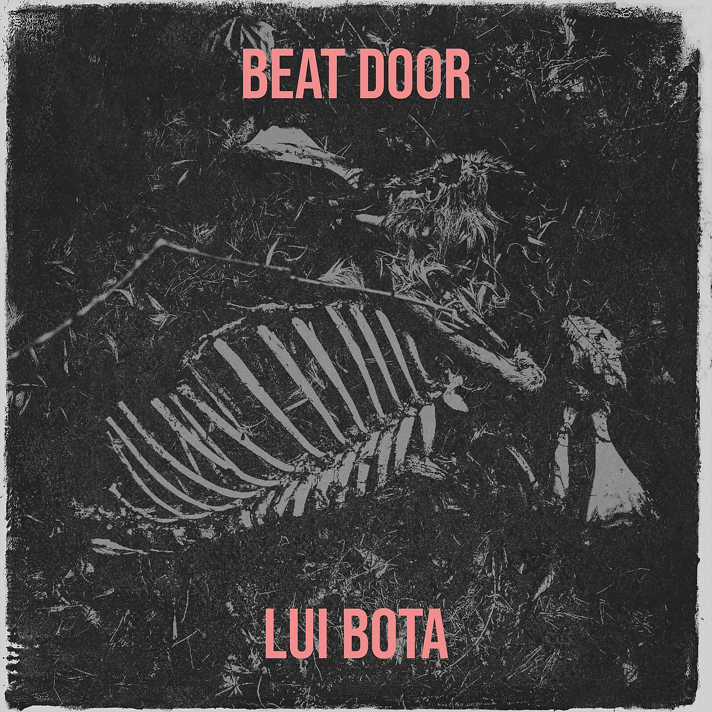 Постер альбома Beat Door