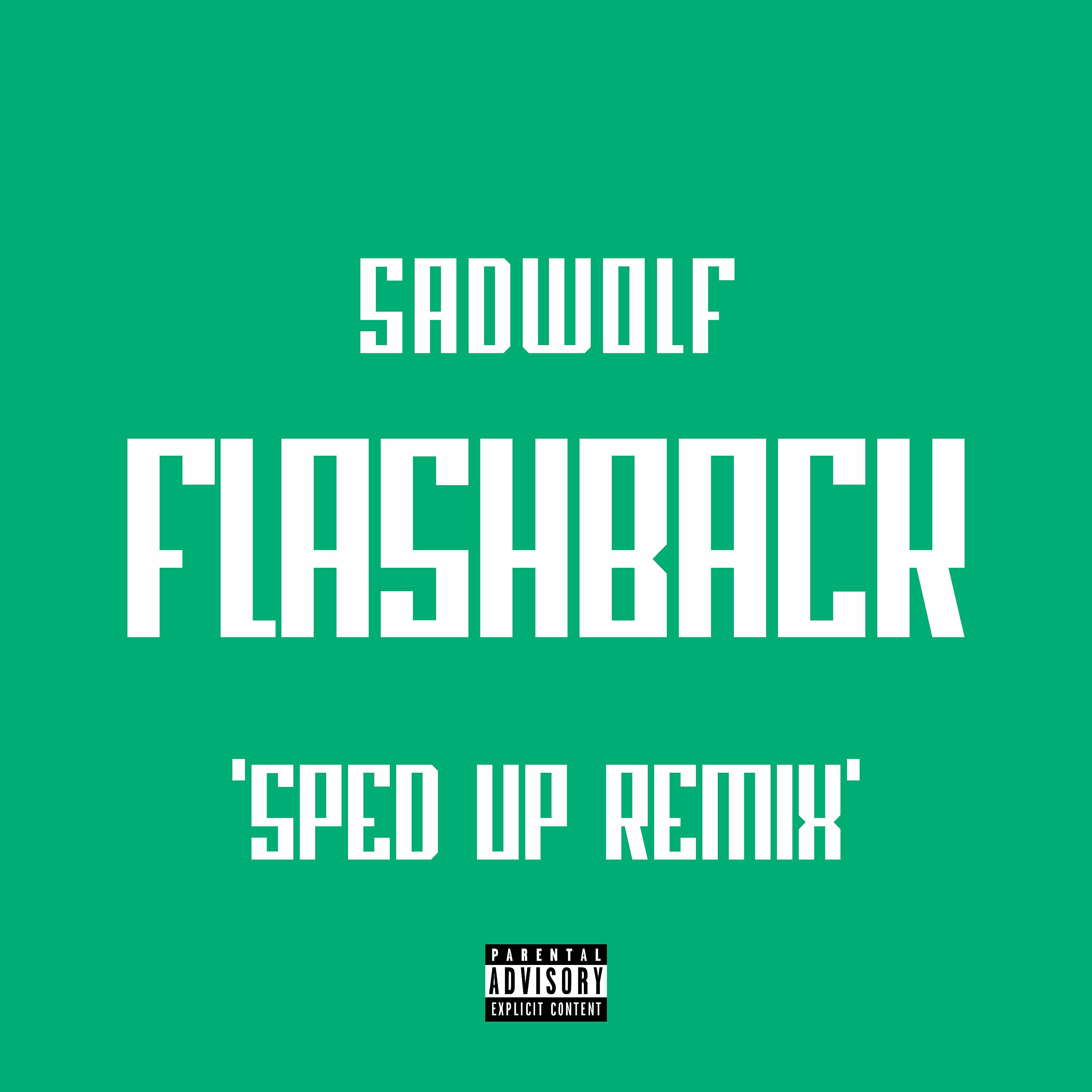 Постер альбома Flashback (Sped up Remix)