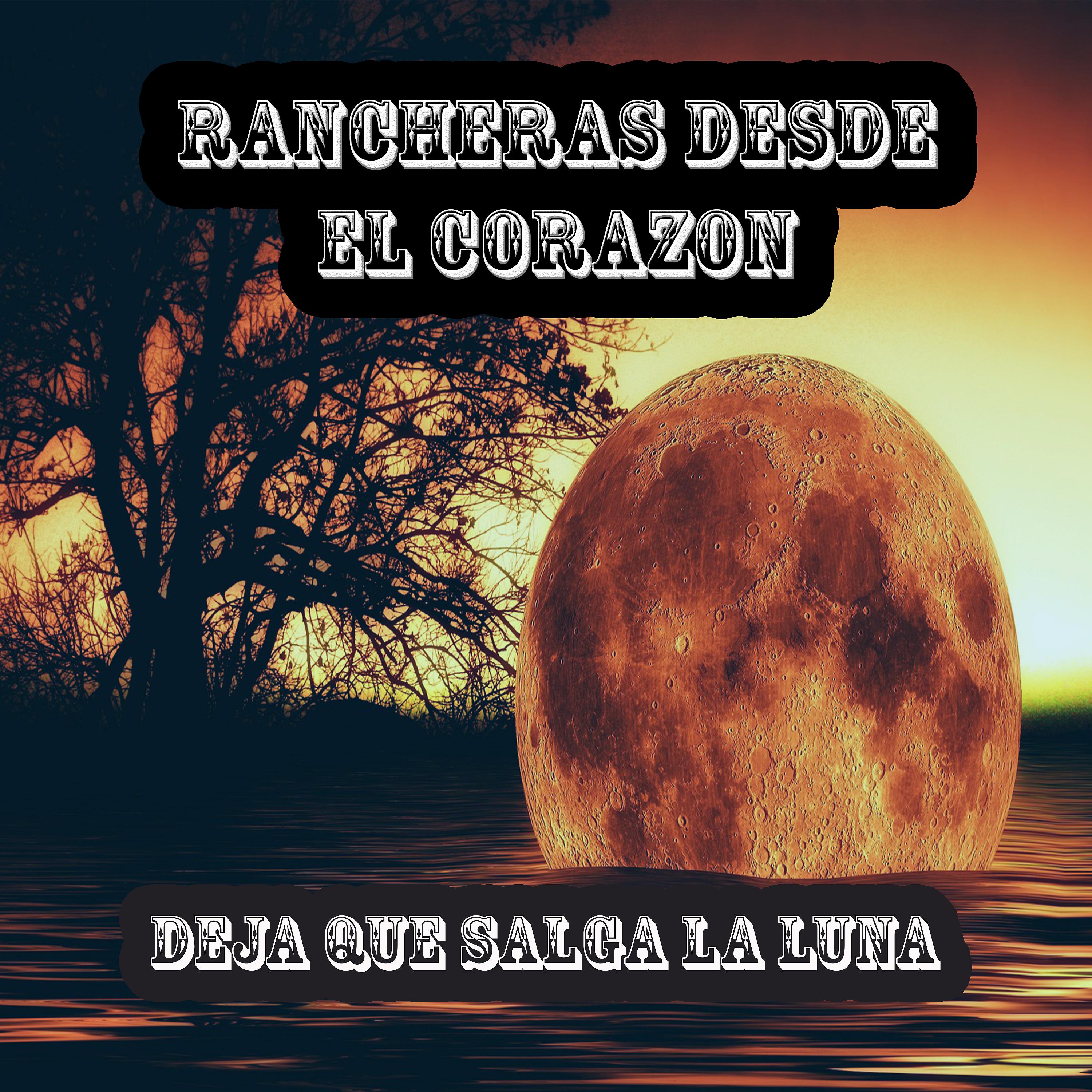 Постер альбома Rancheras Desde el Corazon: Deja Que Salga la Luna