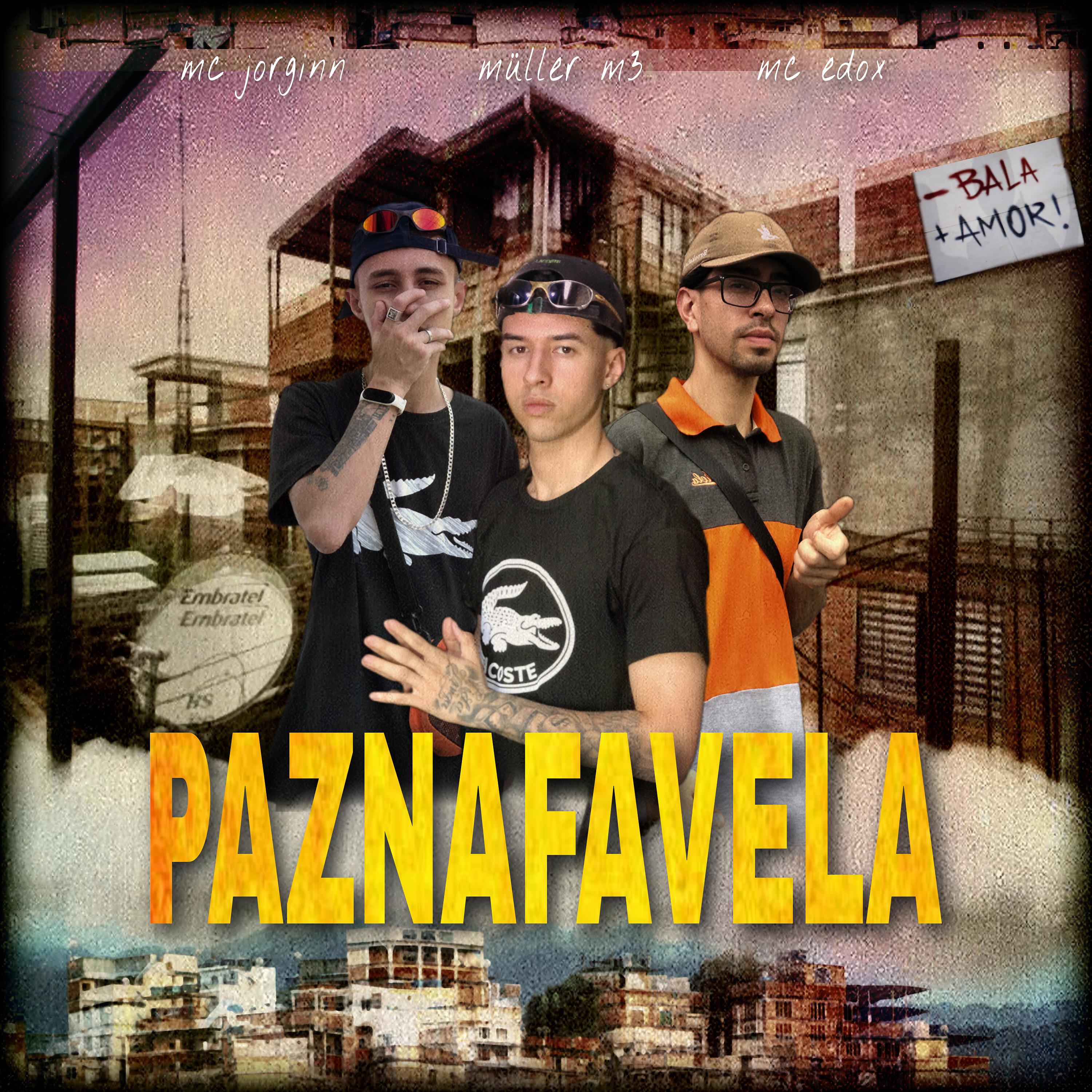 Постер альбома Paz na Favela