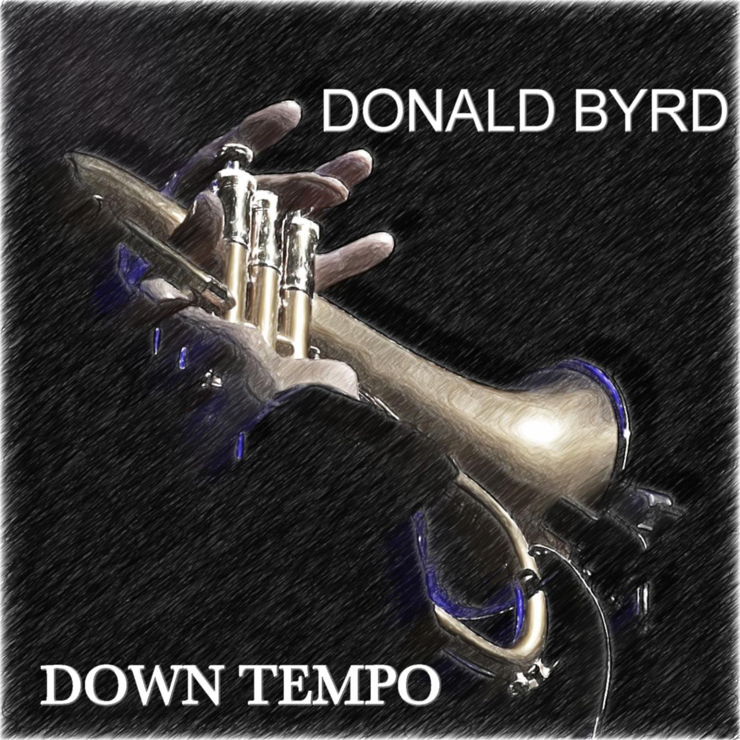 Постер альбома Down Tempo