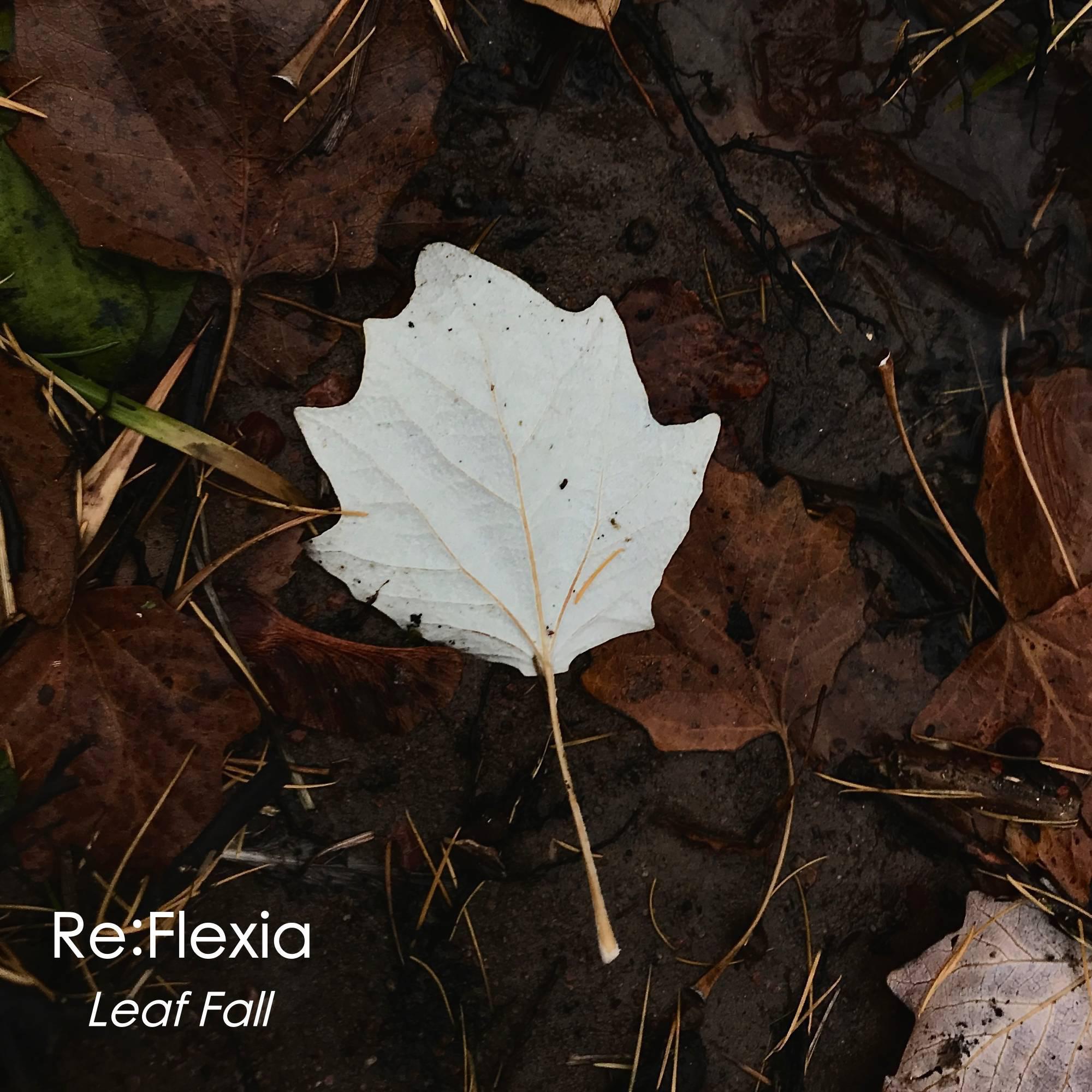 Постер альбома Leaf Fall