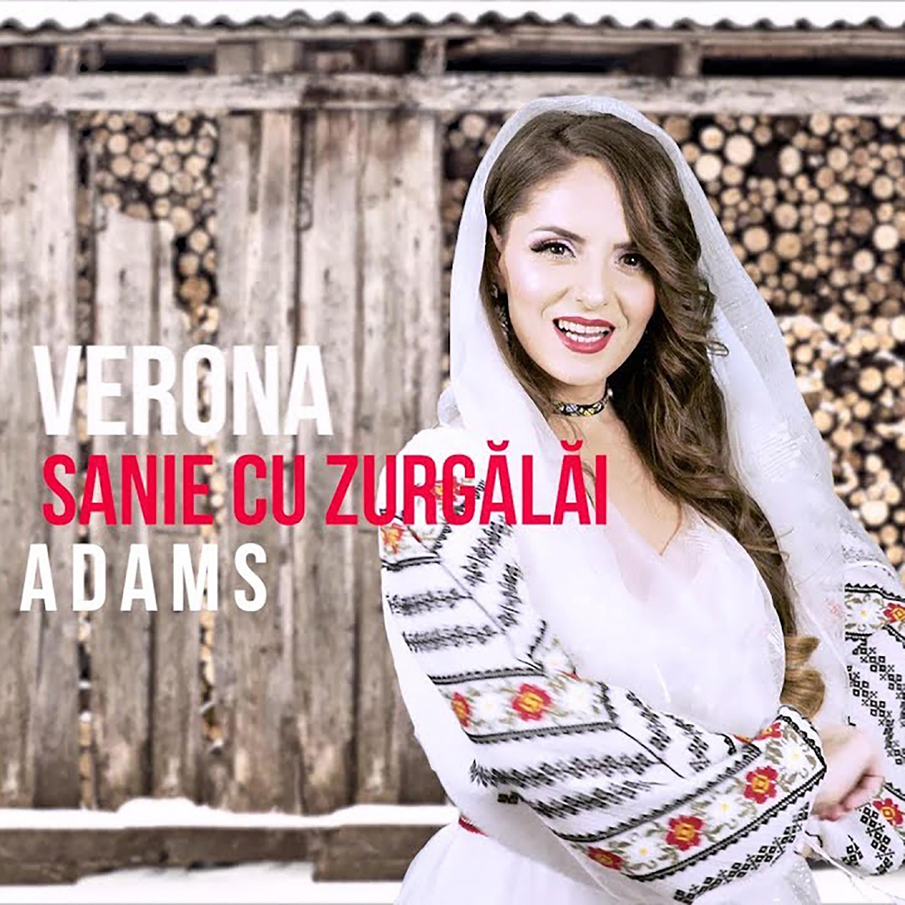 Постер альбома Sanie cu zurgălăi