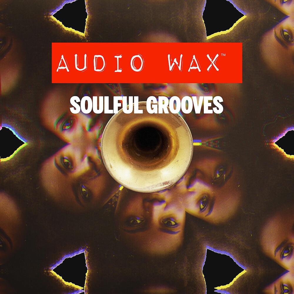Постер альбома Soulful Grooves