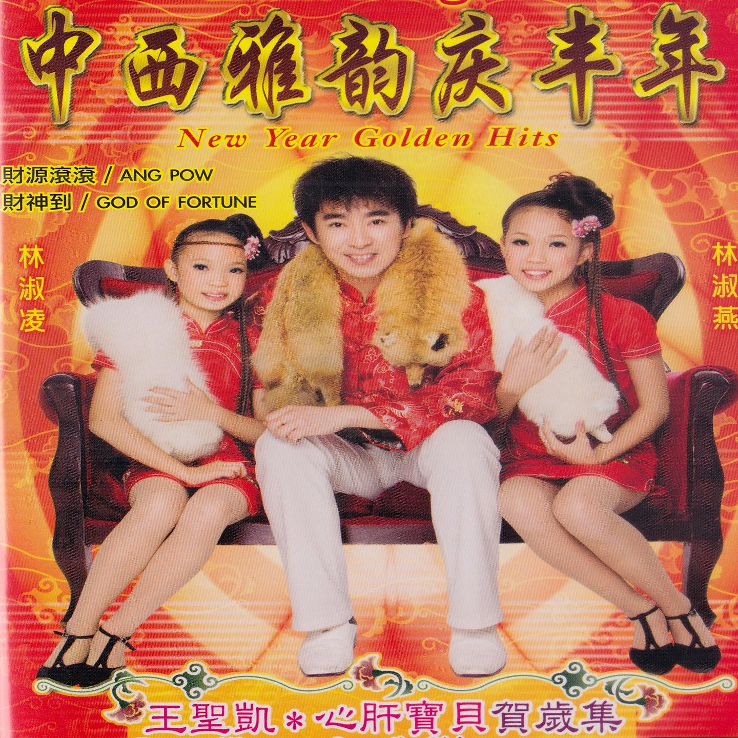 Постер альбома 中西雅韵庆丰年