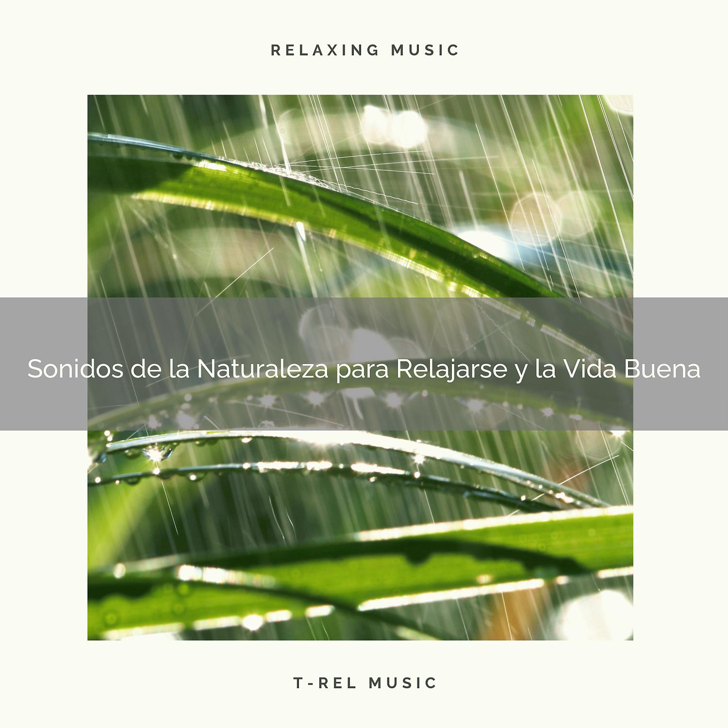 Постер альбома Sonidos de la Naturaleza para Relajarse y la Vida Buena