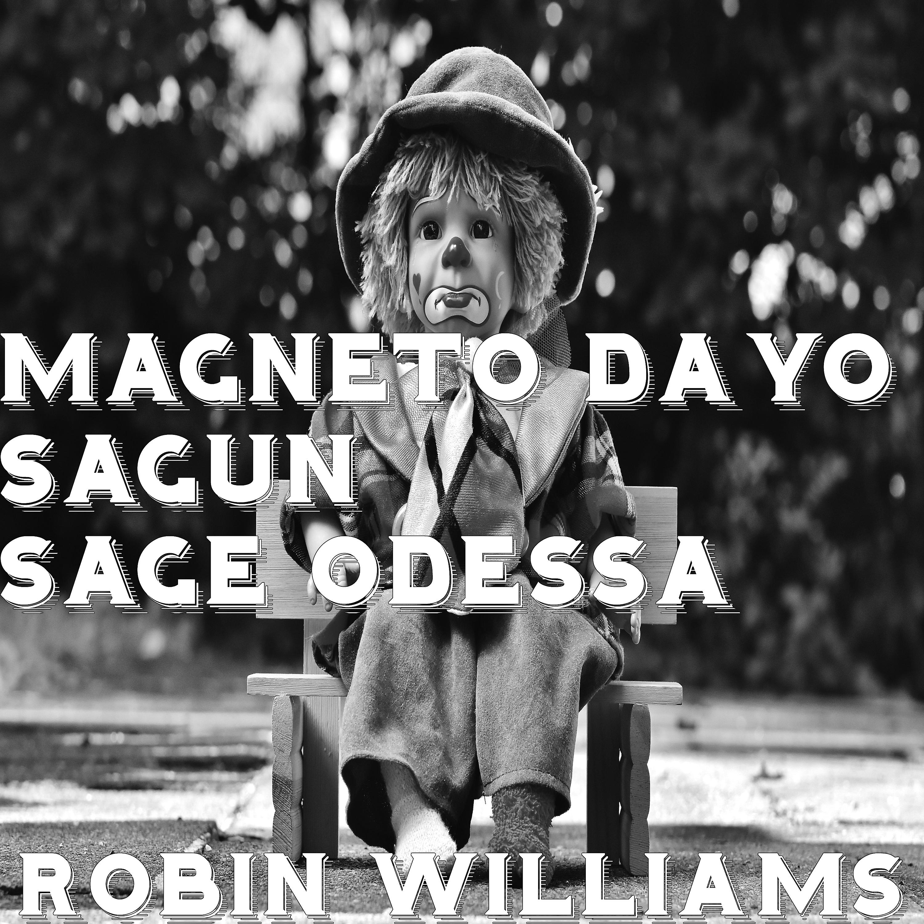 Постер альбома Robin Williams