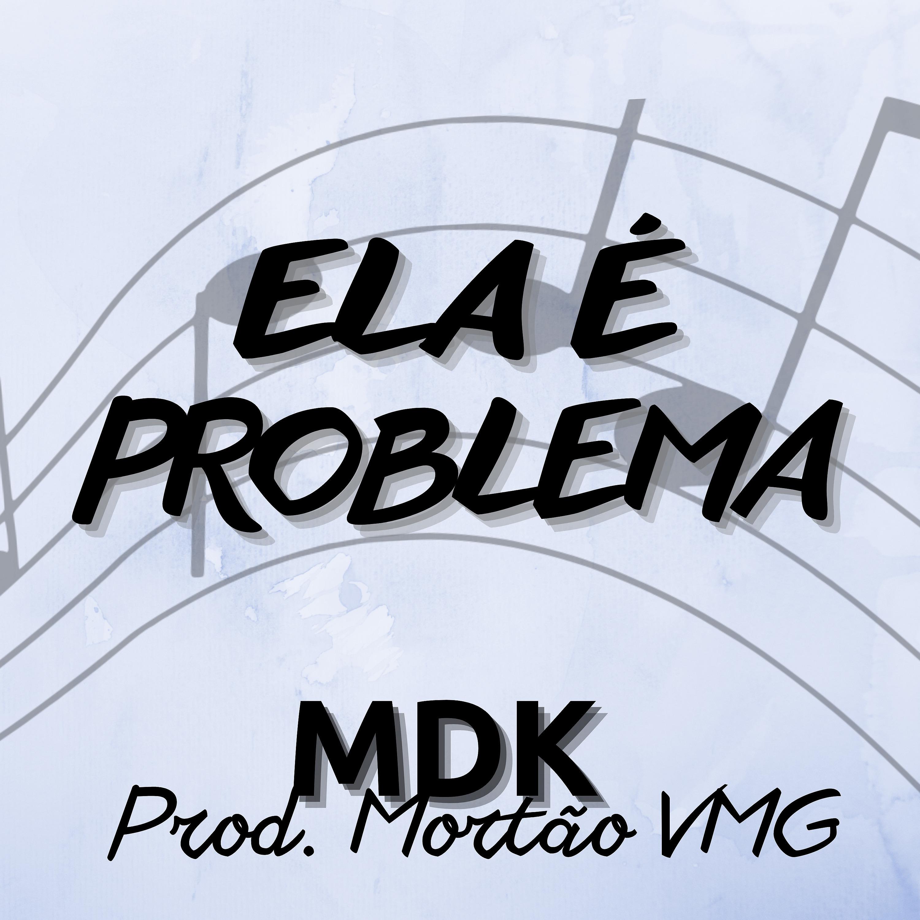Постер альбома Ela É Problema