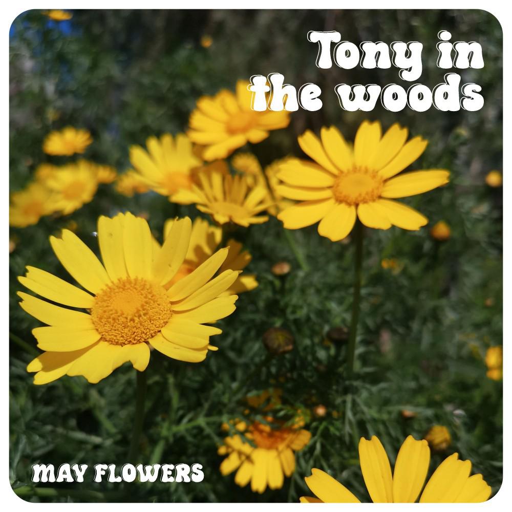Постер альбома May Flowers
