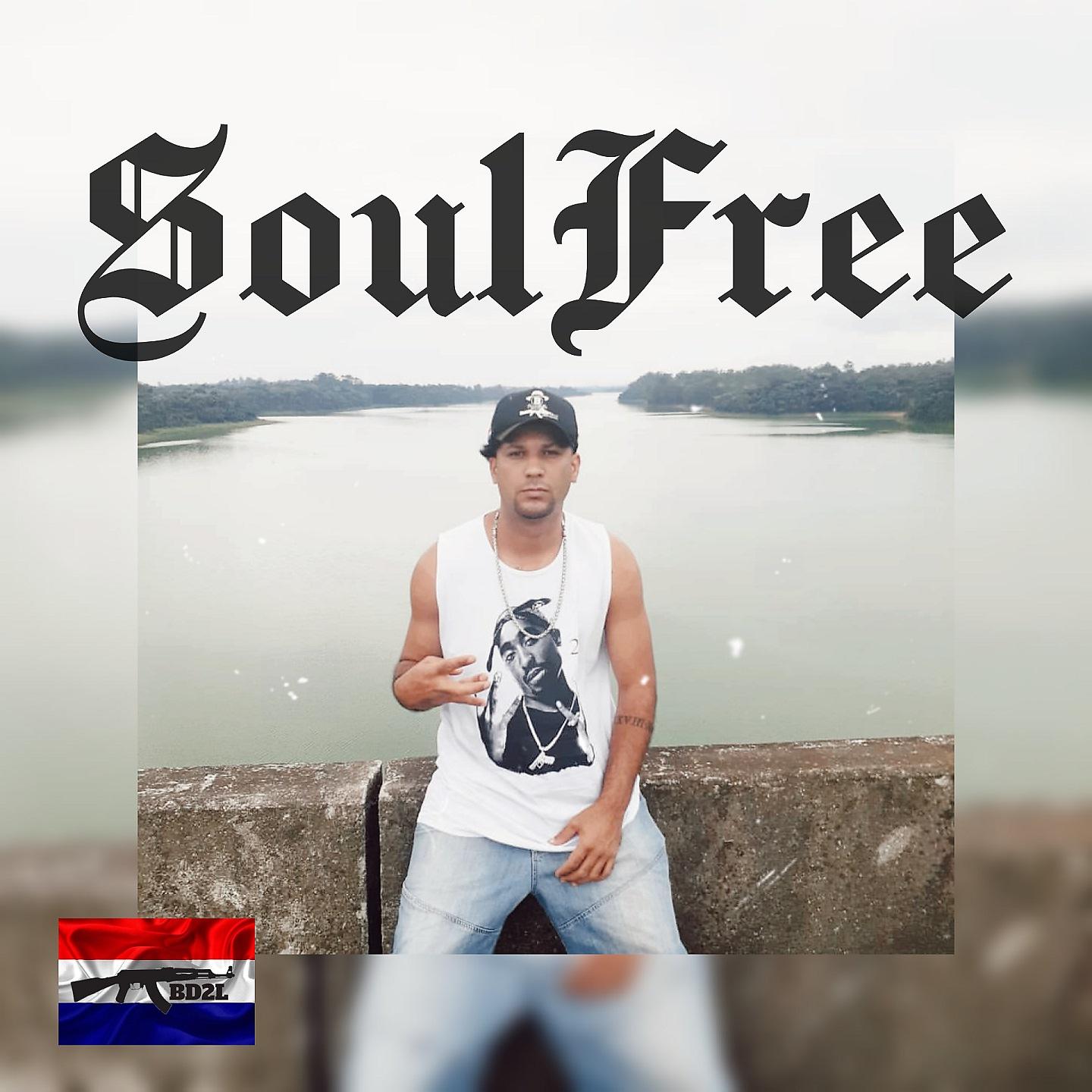 Постер альбома Soul Free
