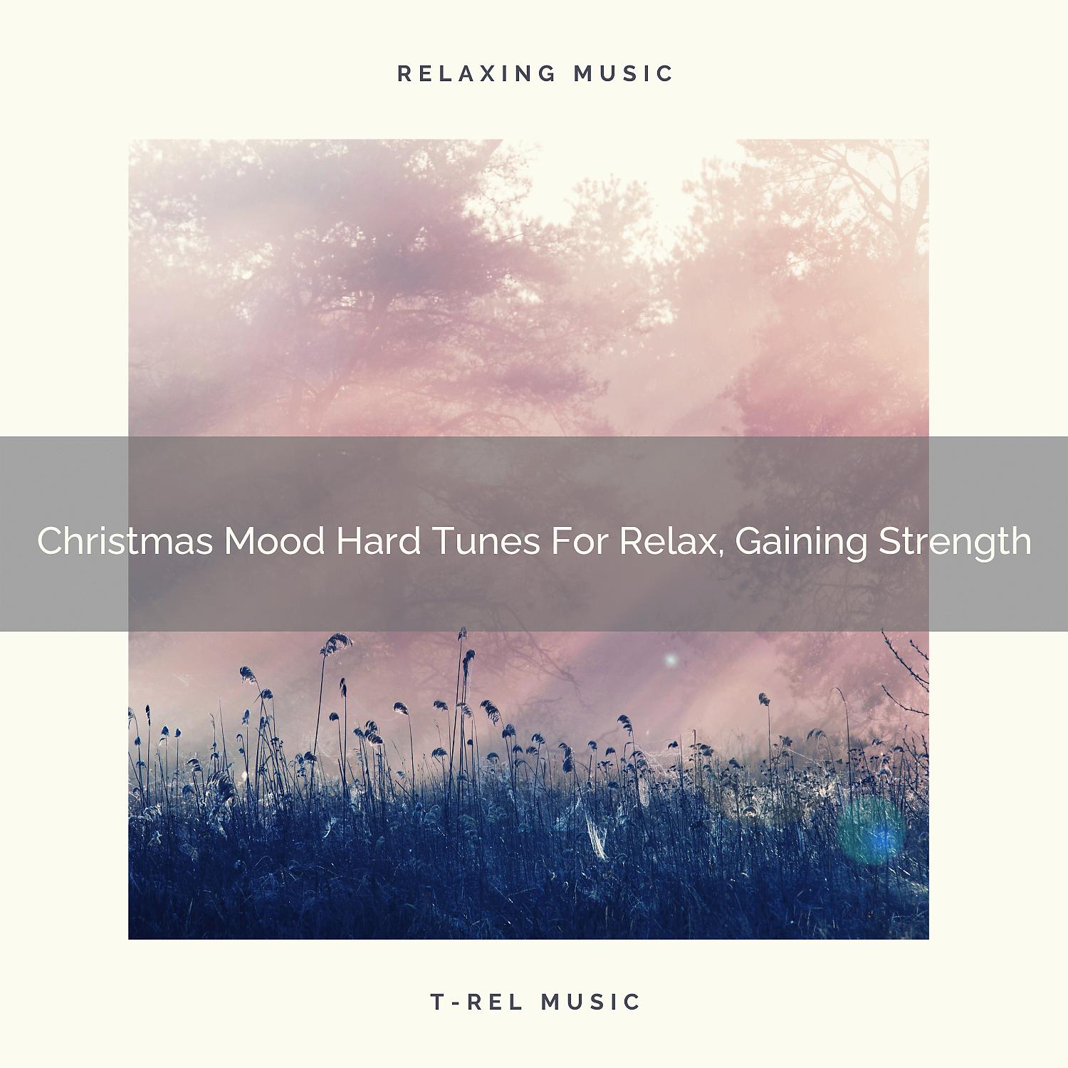 Постер альбома Christmas Mood Hard Tunes For Relax, Gaining Strength