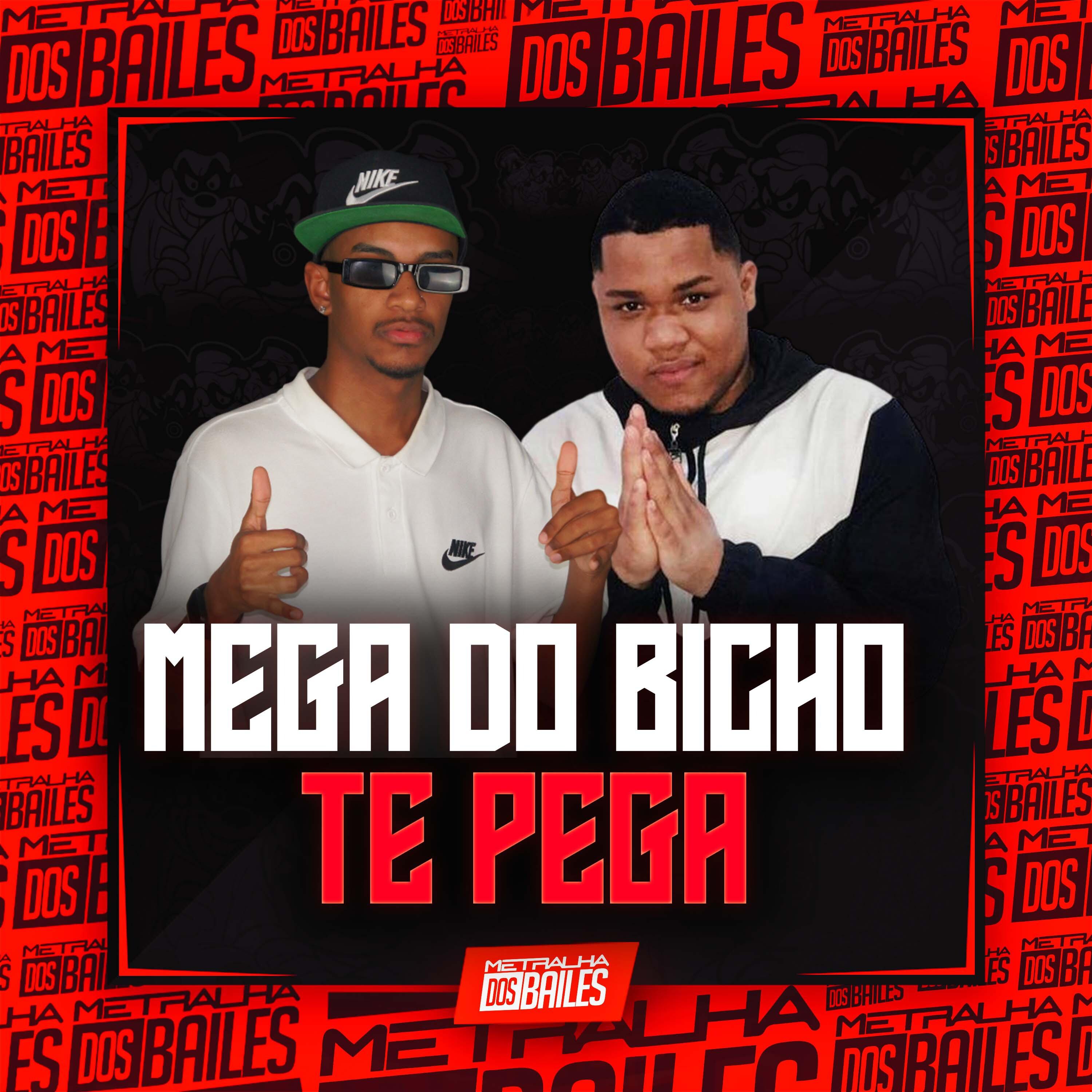 Постер альбома Mega do Bicho Te Pega