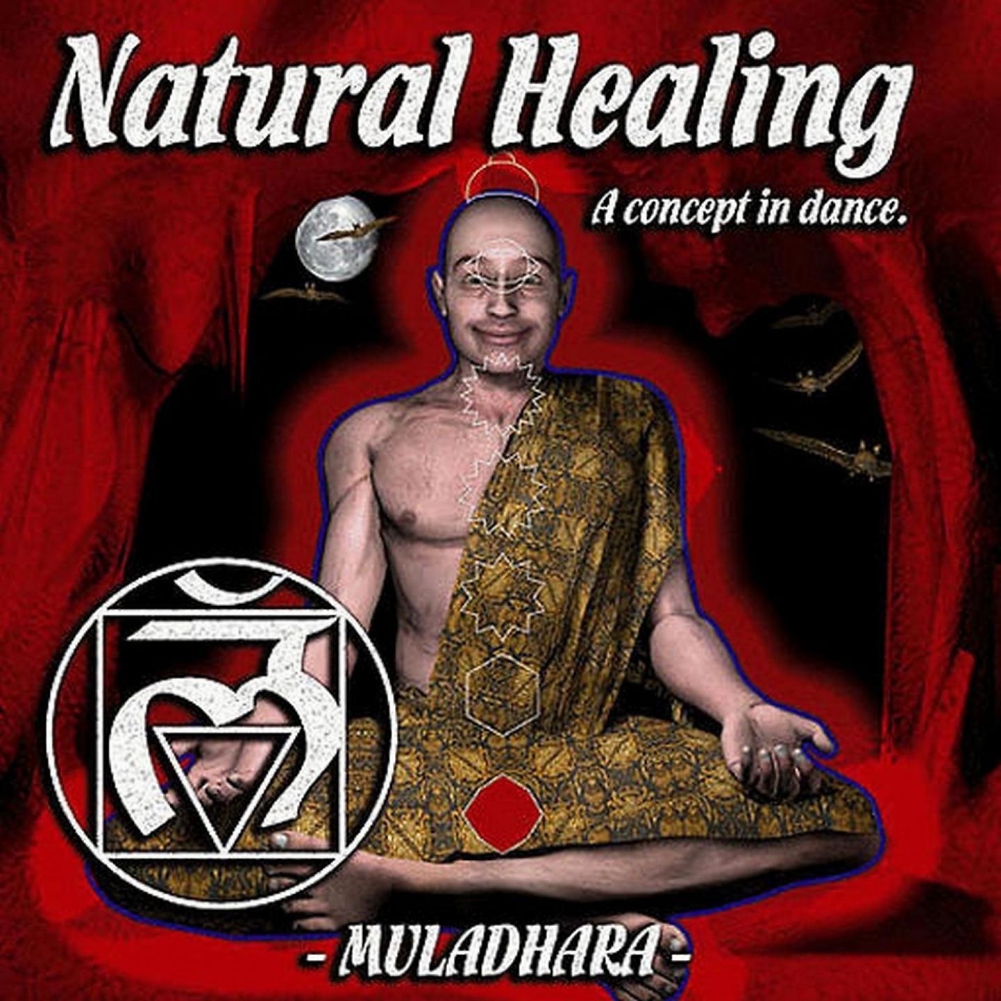 Постер альбома Natural Healing, Vol. 1