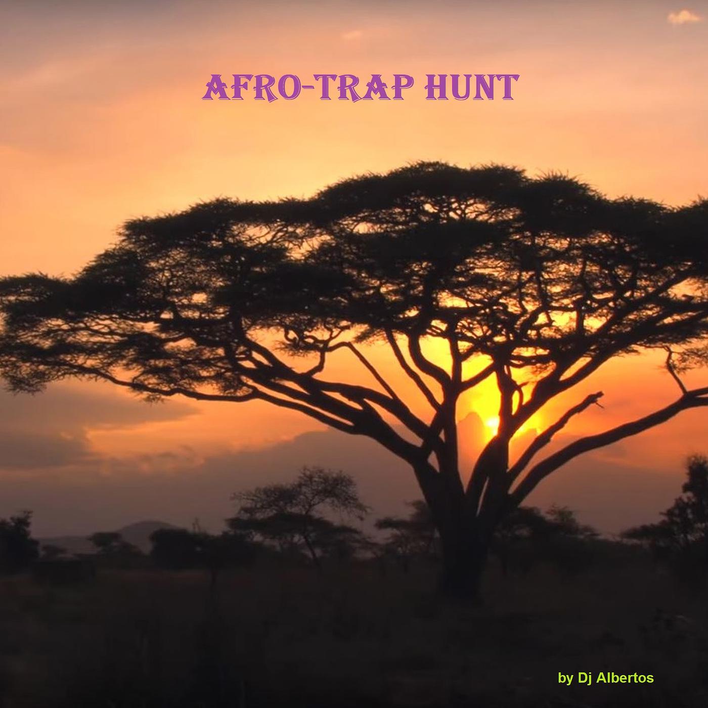 Постер альбома Afro / Trap Hunt