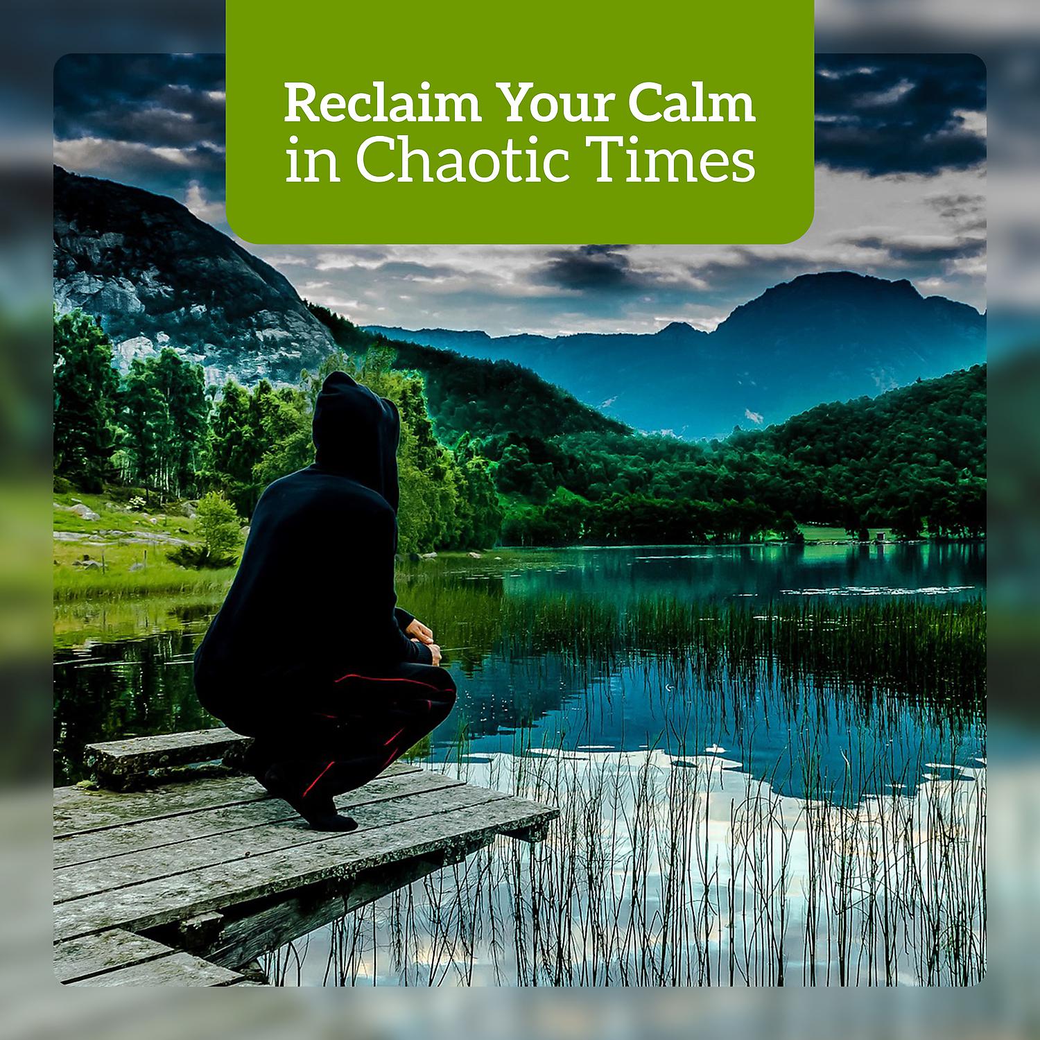 Постер альбома Reclaim Your Calm in Chaotic Times