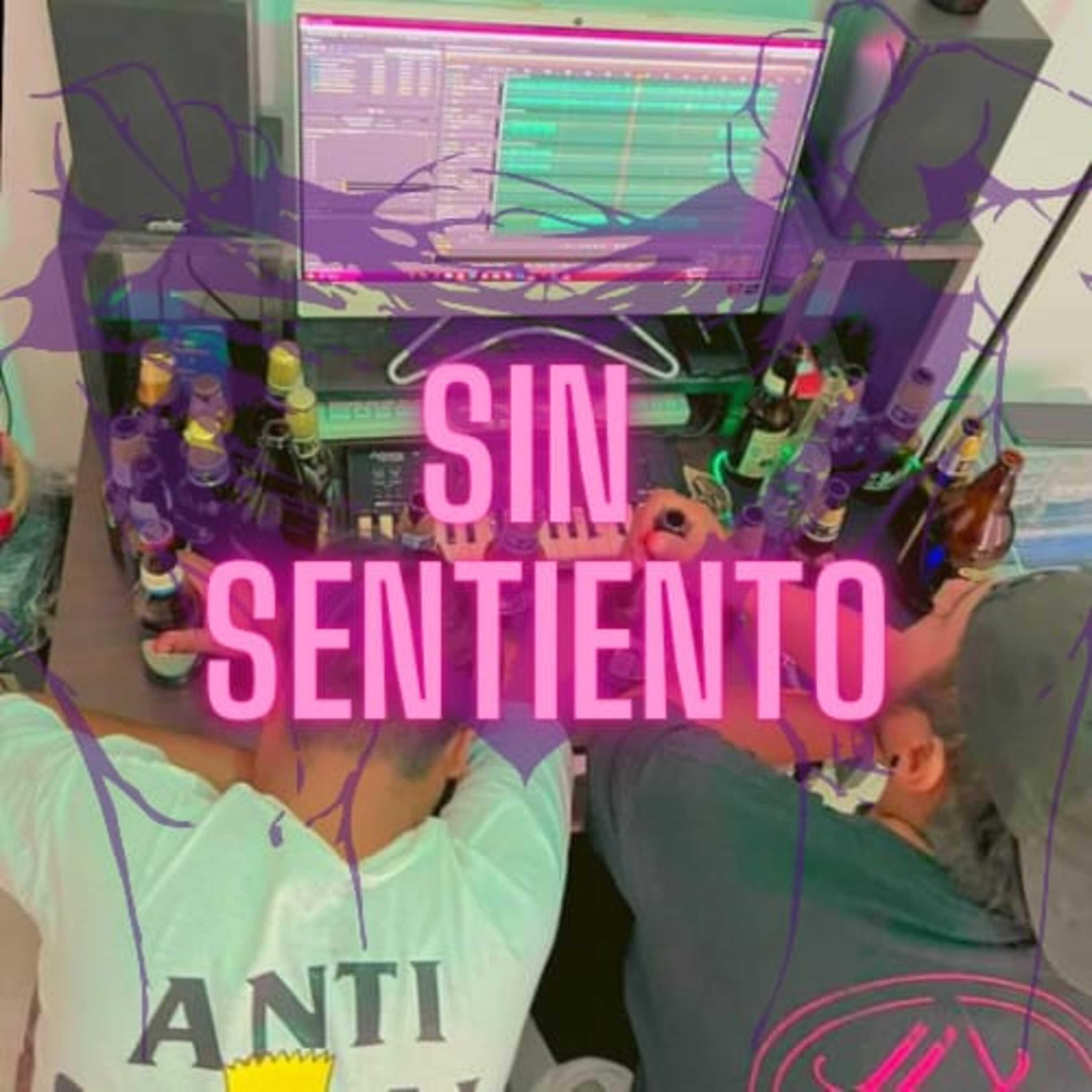 Постер альбома Sin Sentimiento