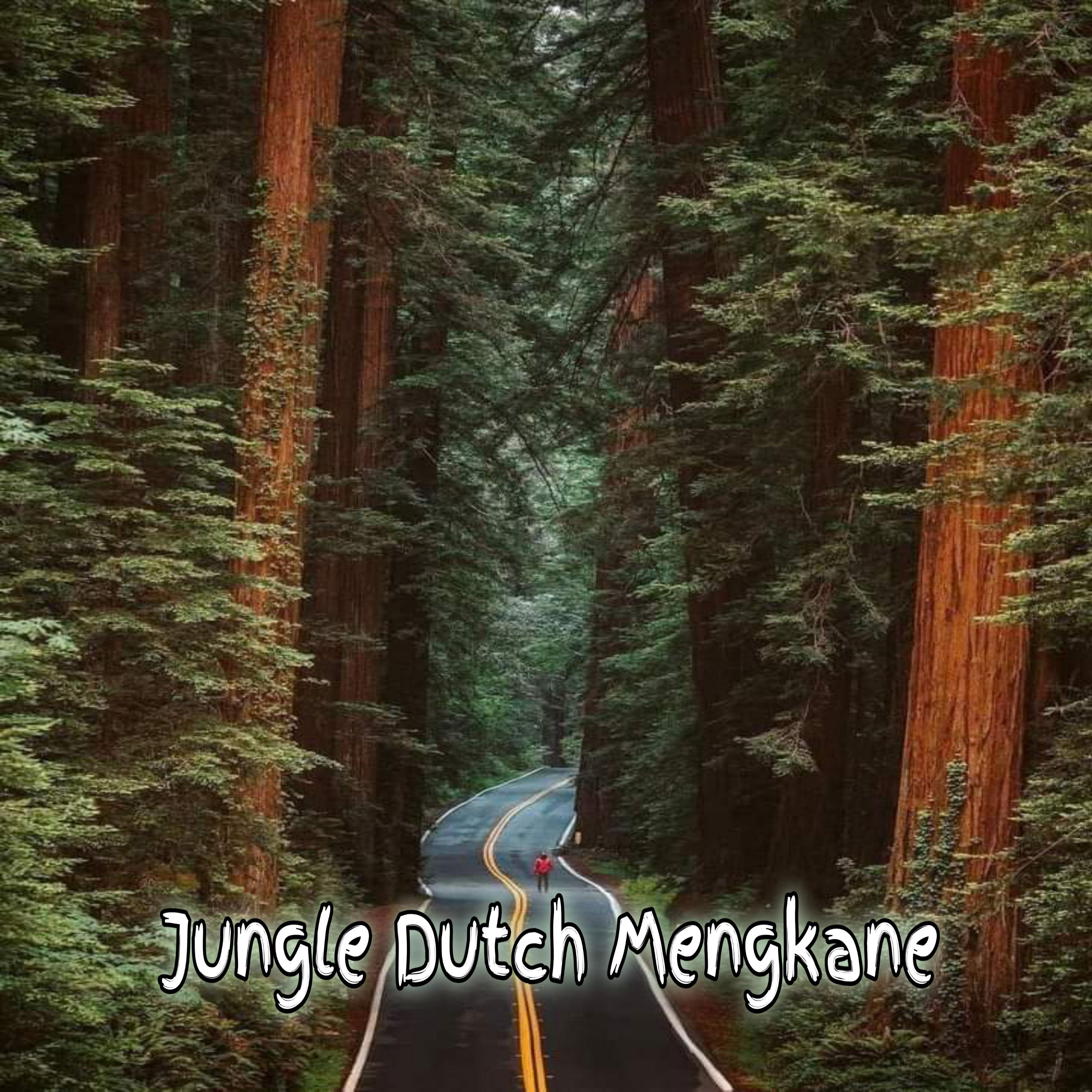 Постер альбома Jungle Dutch Mengkane