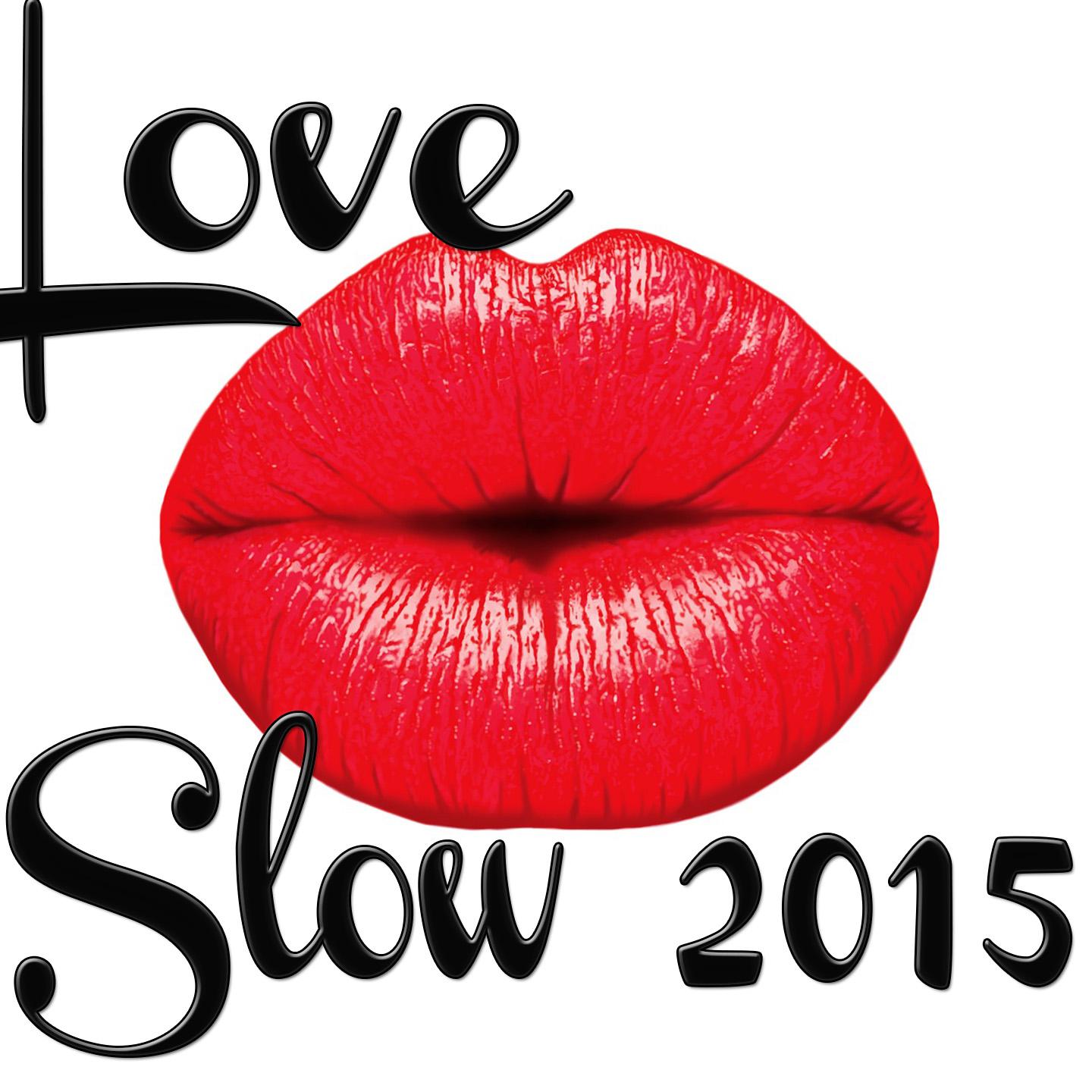 Постер альбома Love Slow 2015