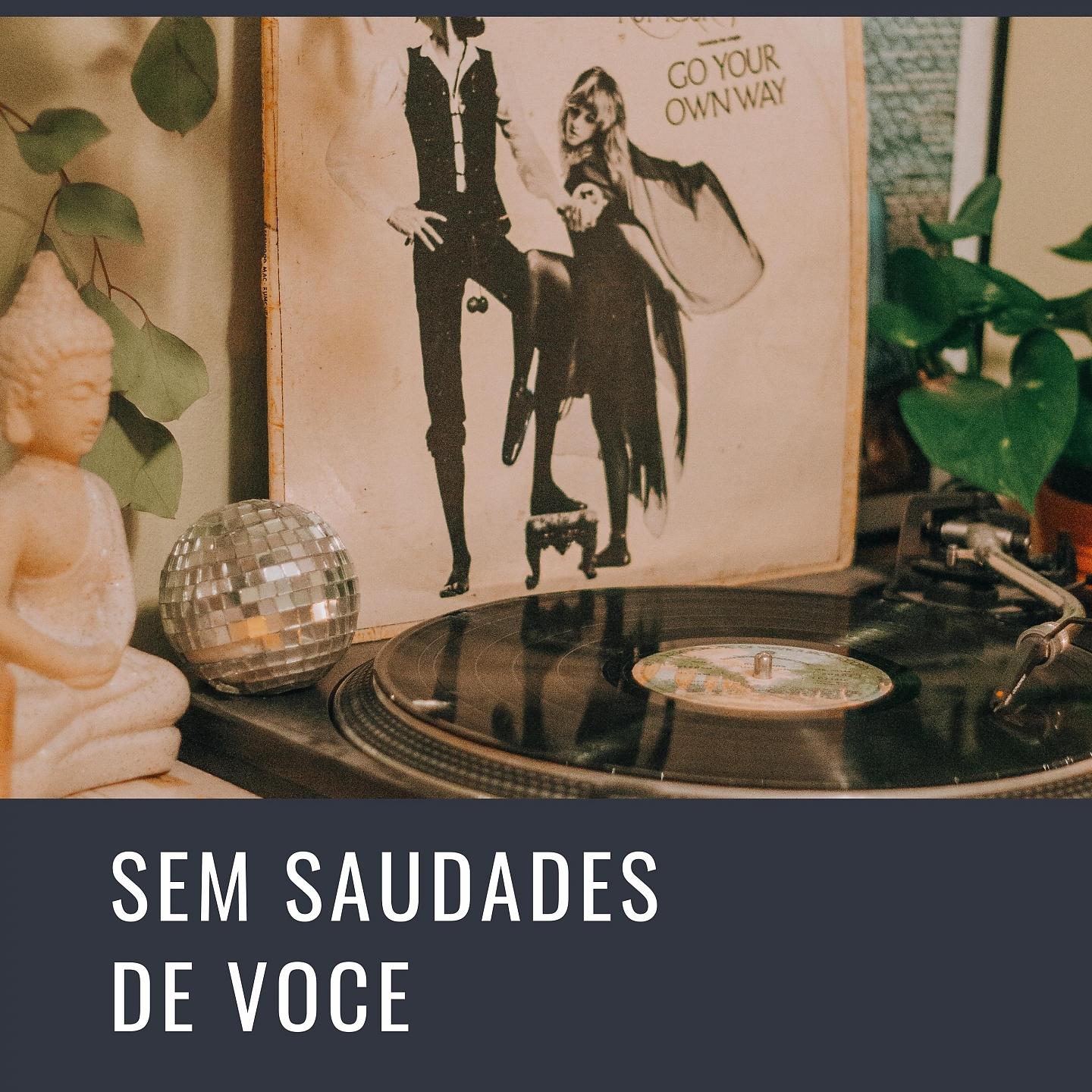 Постер альбома Sem Saudades De Voce