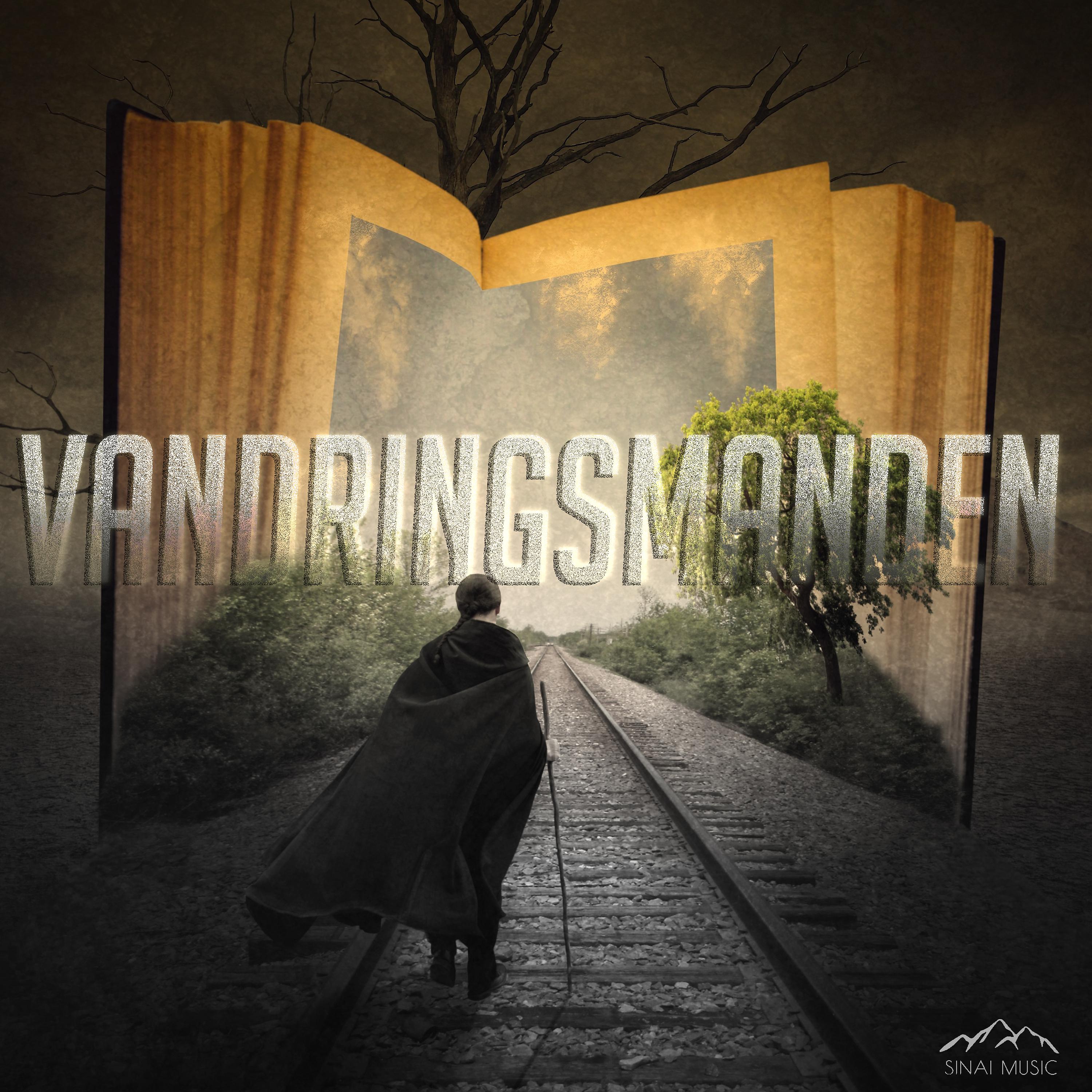 Постер альбома Vandringsmanden