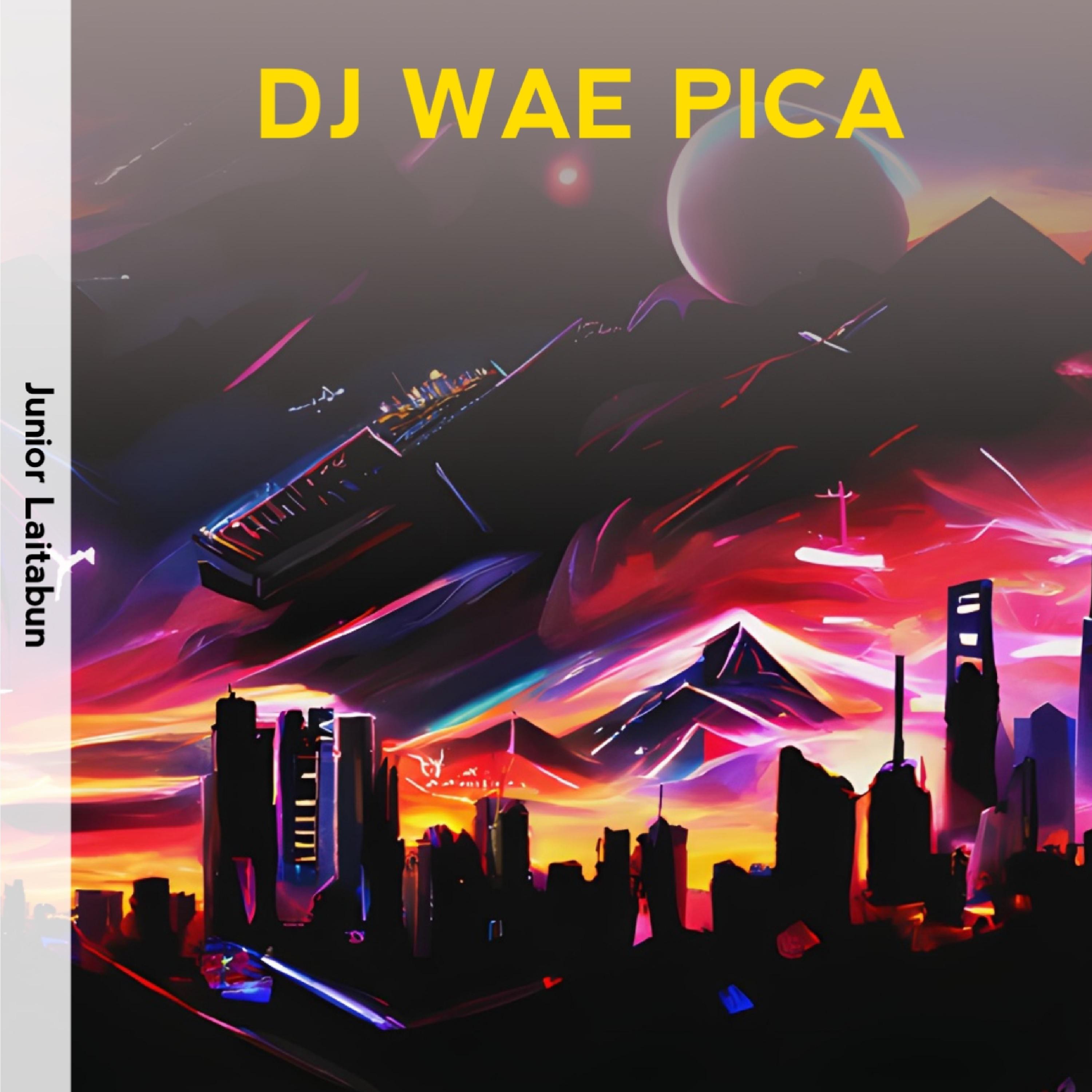 Постер альбома DJ Wae PICA