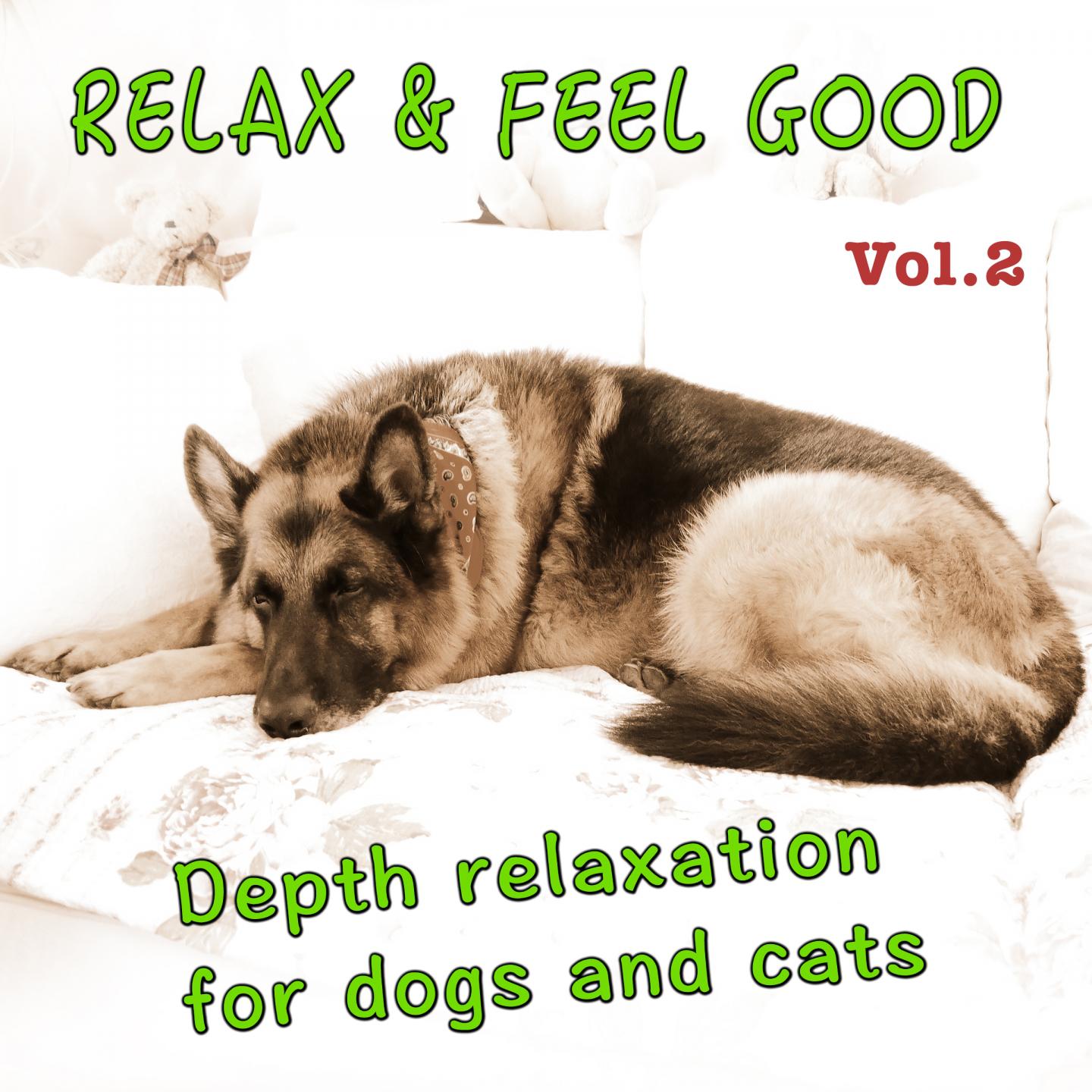 Постер альбома Relax and Feel Good, Vol. 2