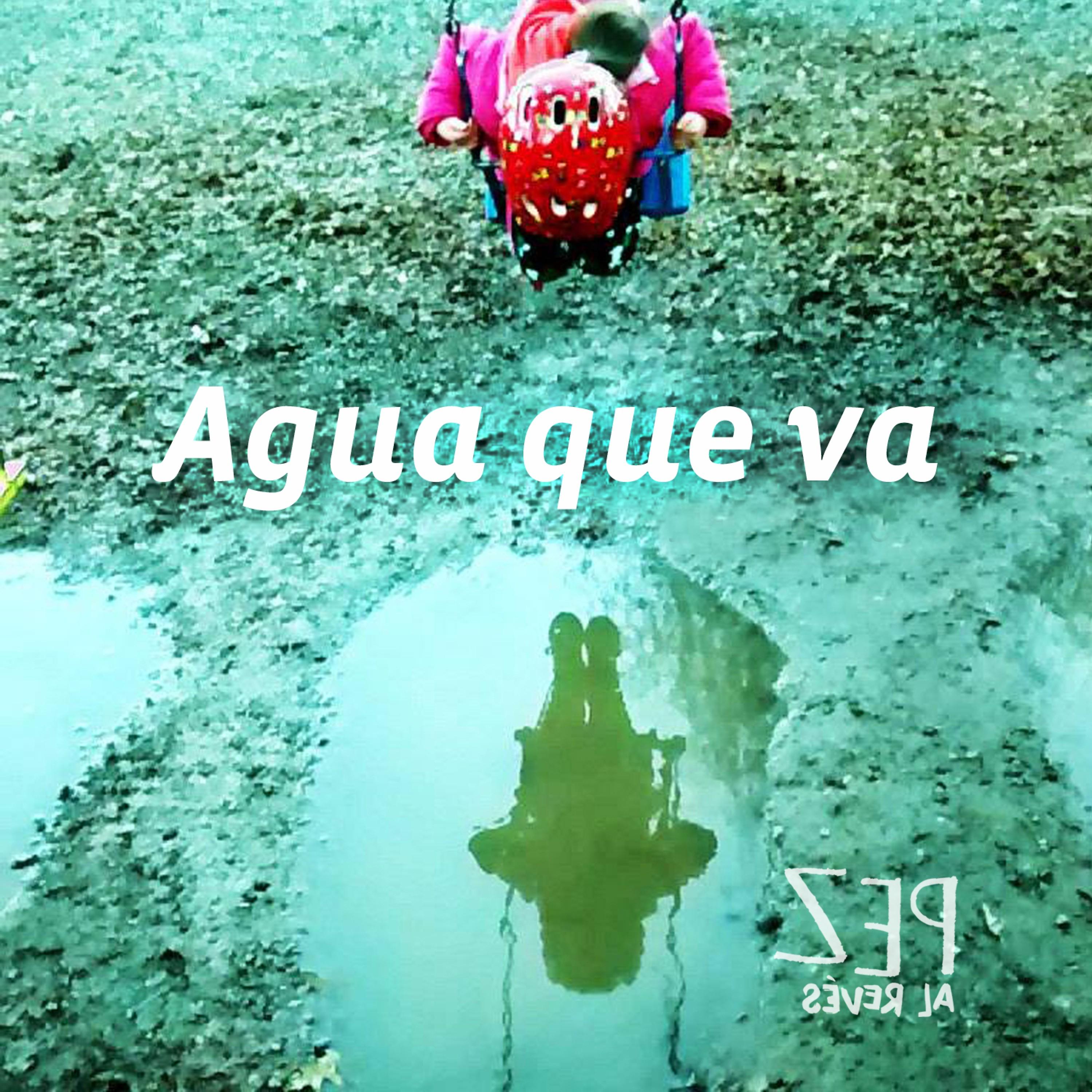 Постер альбома Agua Que Va