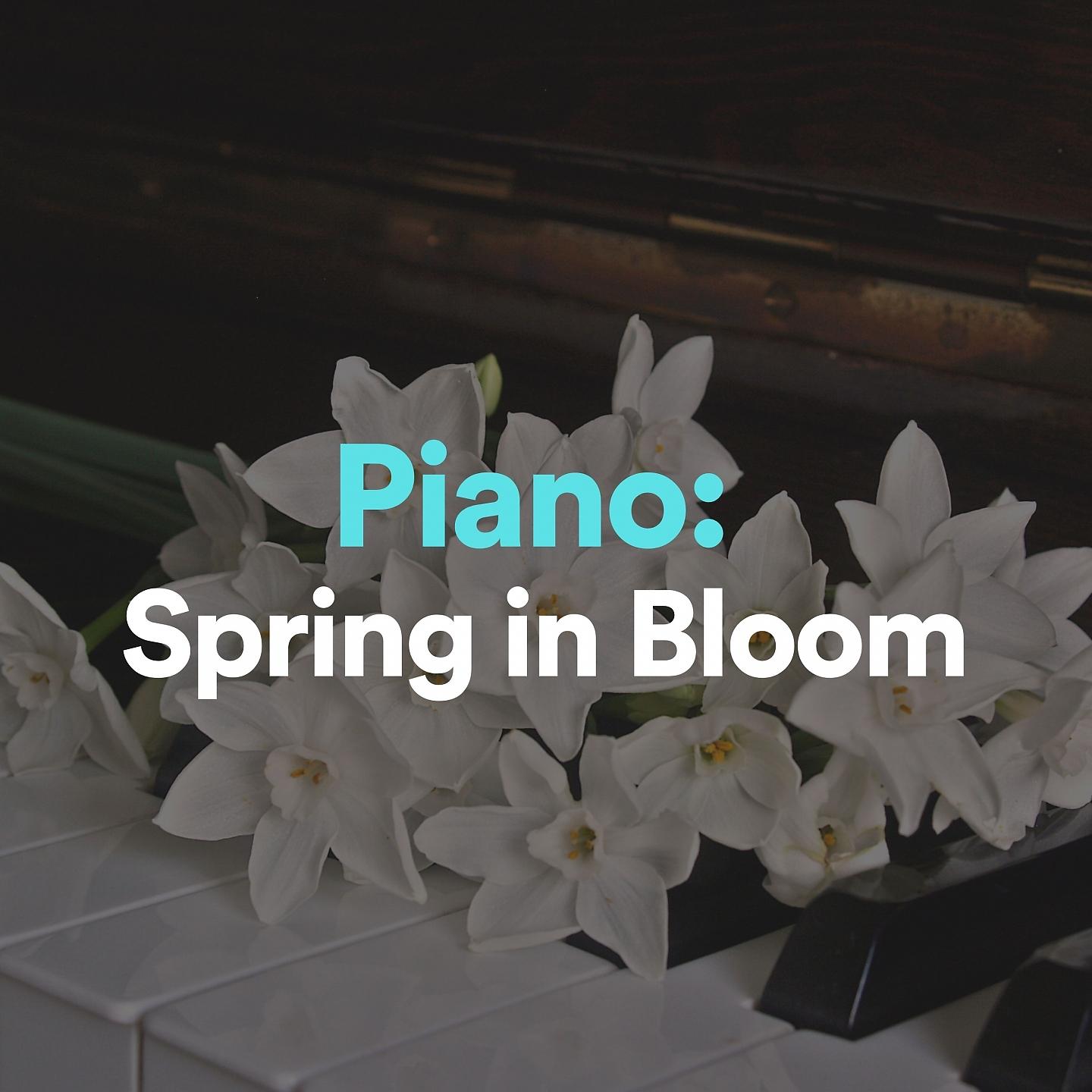 Постер альбома Piano: Spring in Bloom