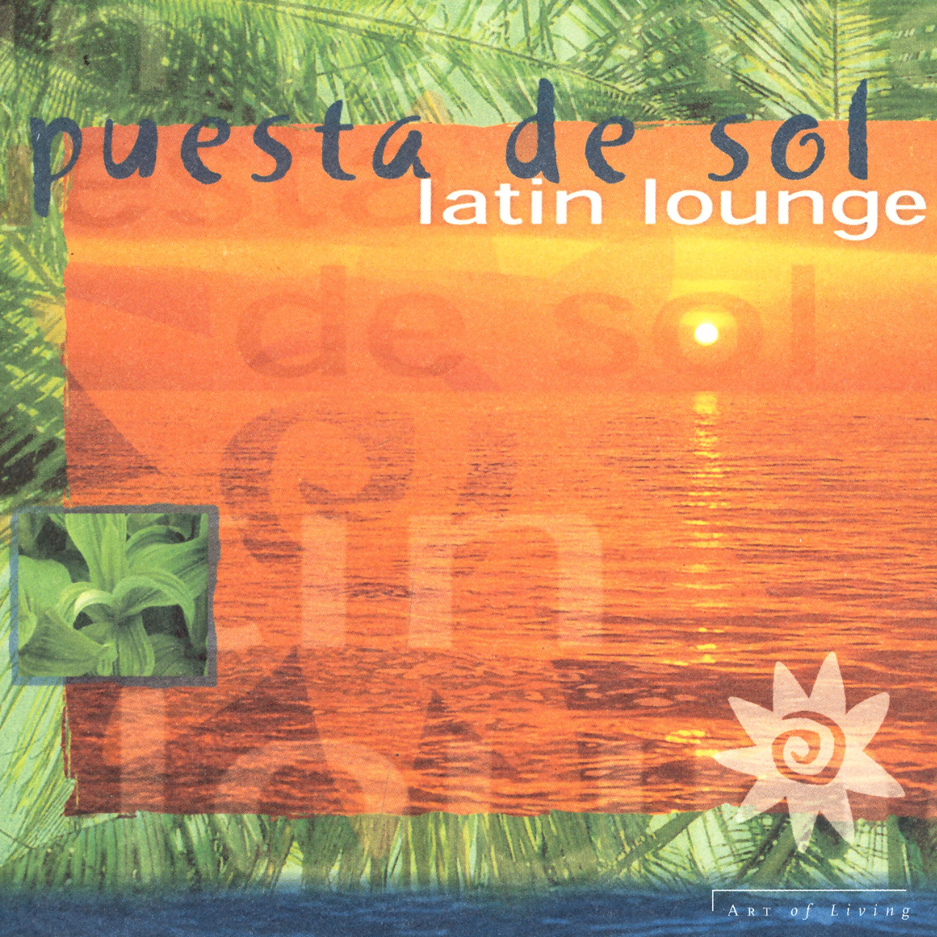 Постер альбома Puesta De Sol