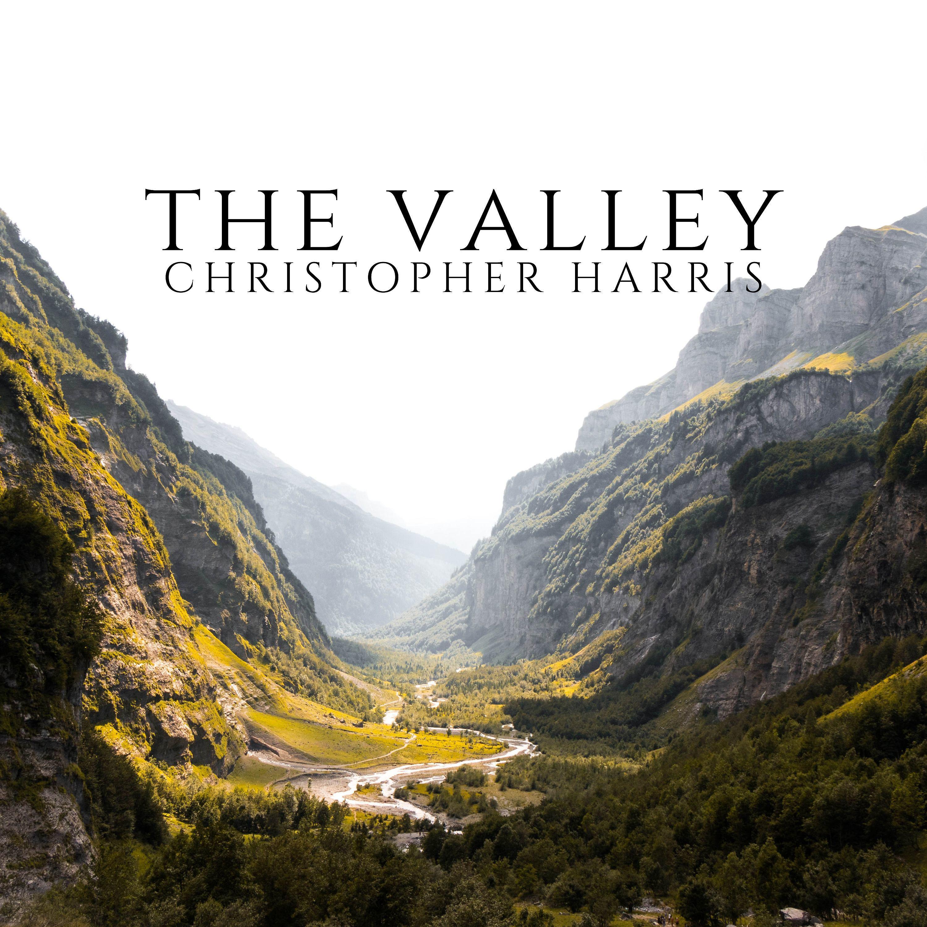 Постер альбома The Valley