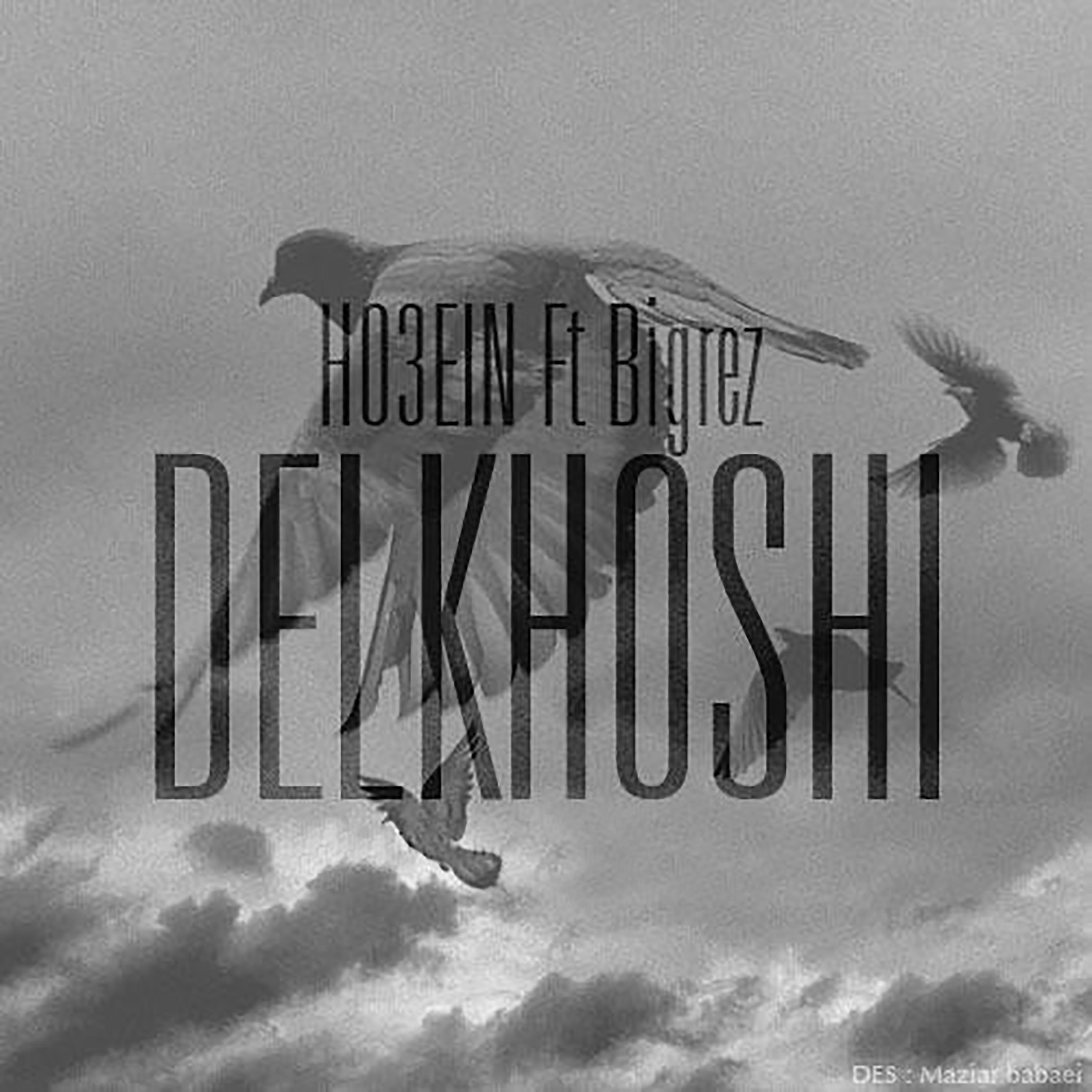 Постер альбома Delkhoshi
