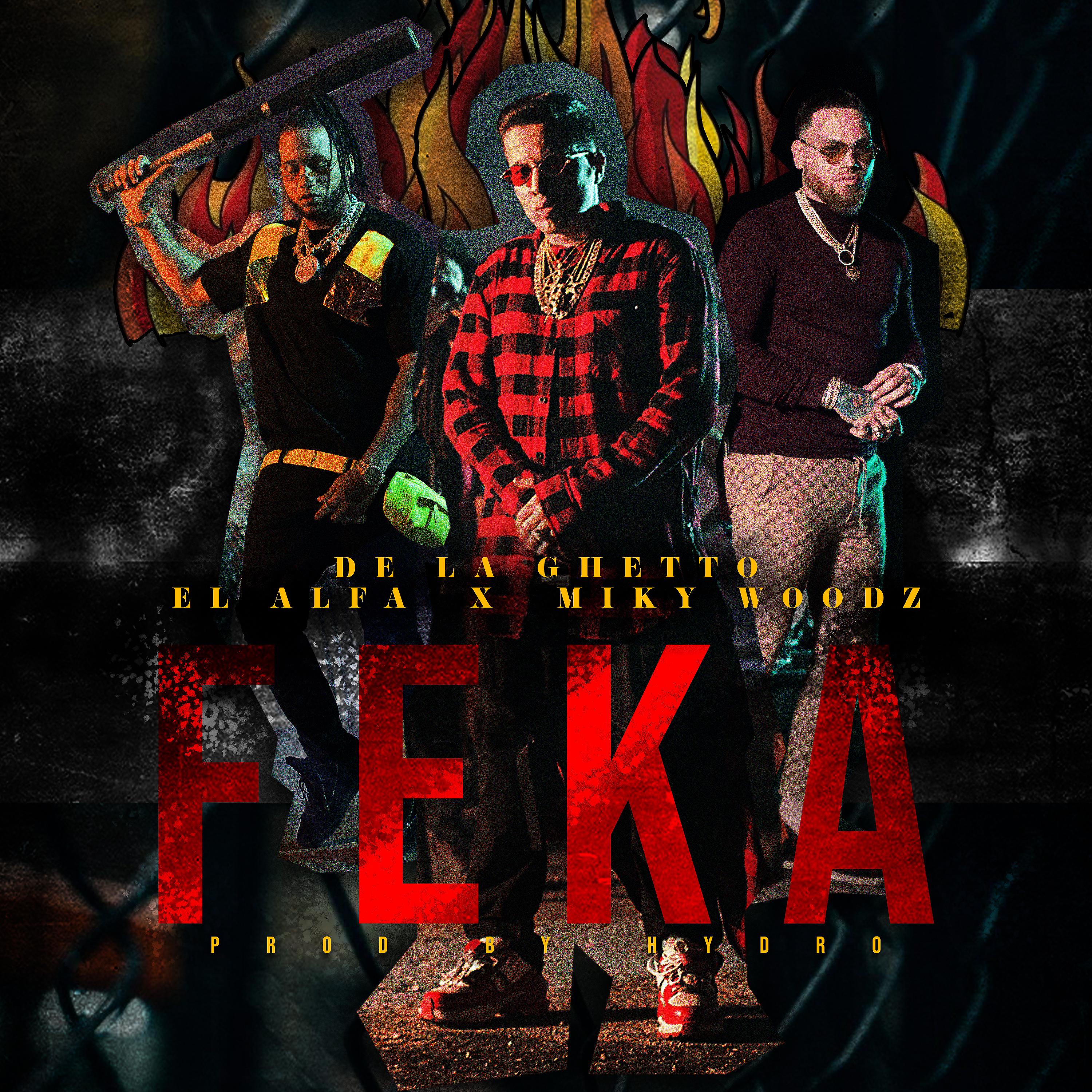 Постер альбома FEKA