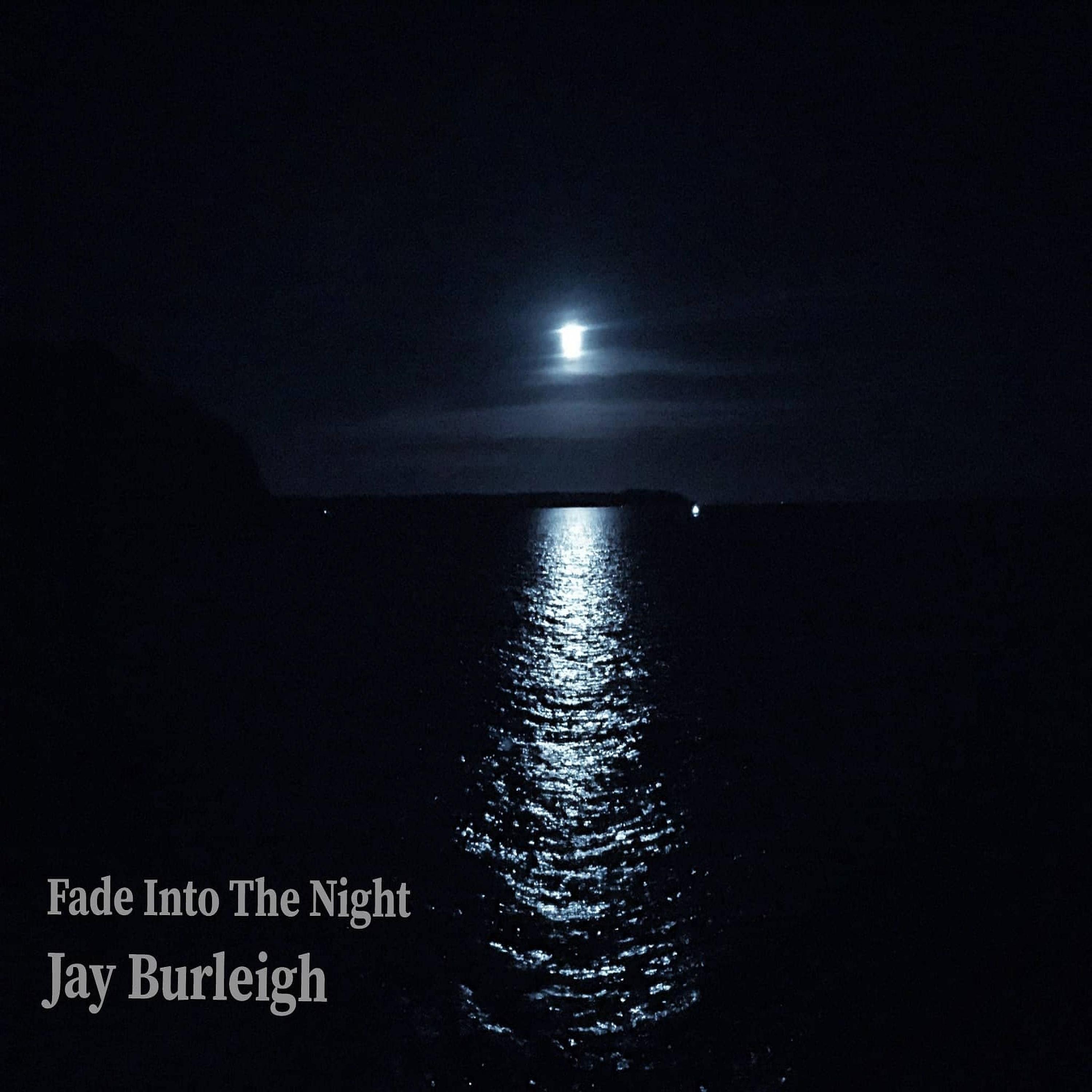Постер альбома Fade Into The Night