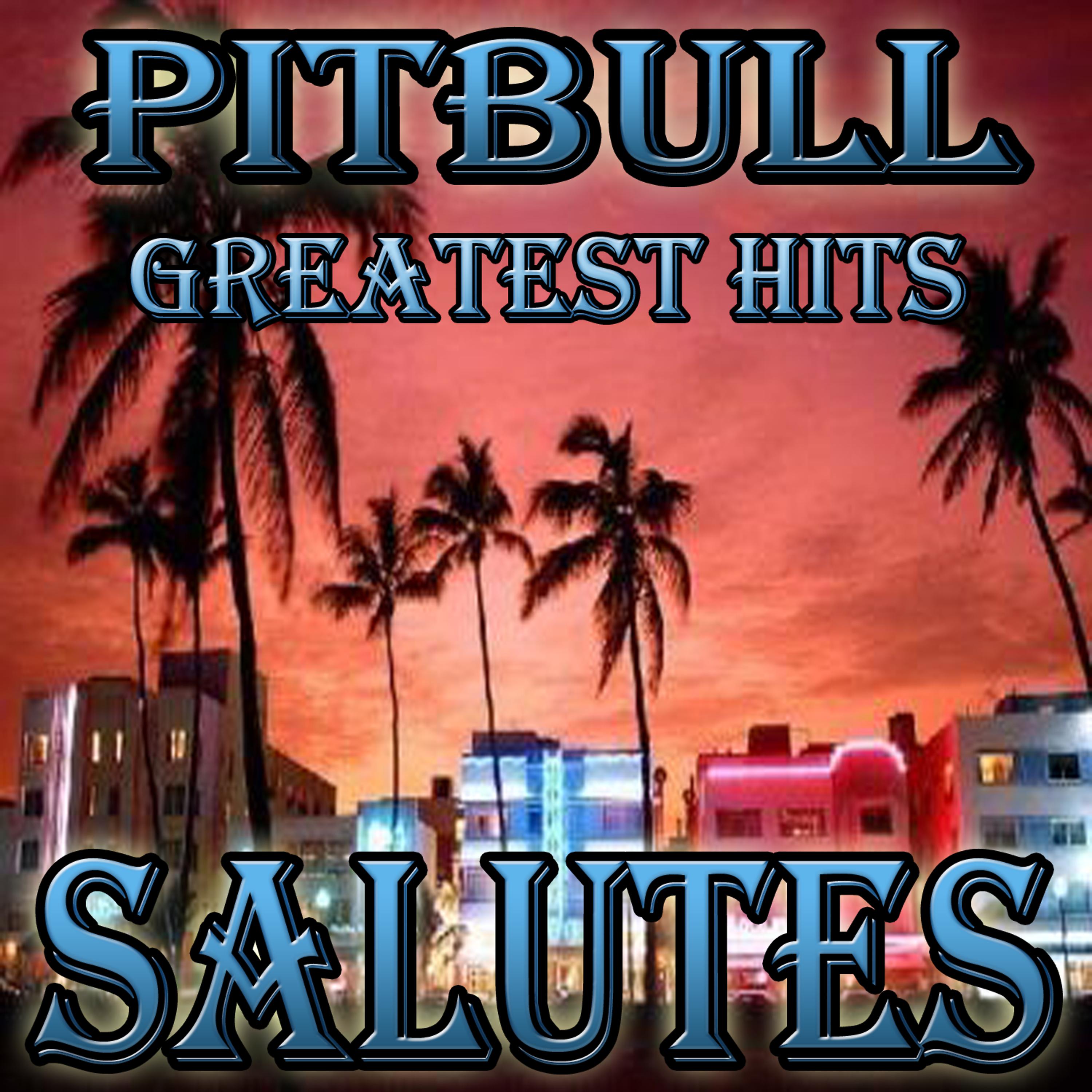 Постер альбома Pitbull Greatest Hits (Salutes)