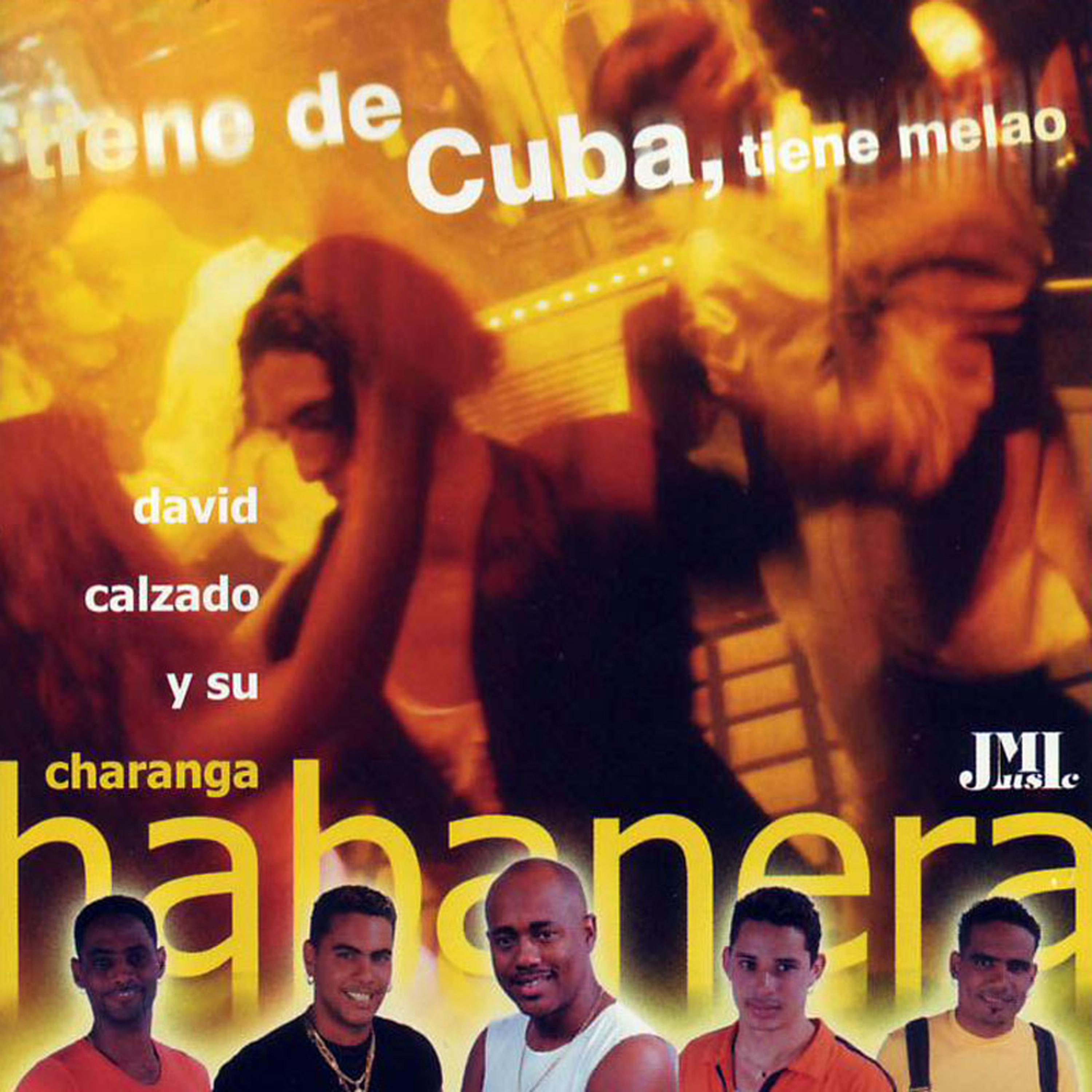Постер альбома Tiene De Cuba, Tiene Melao