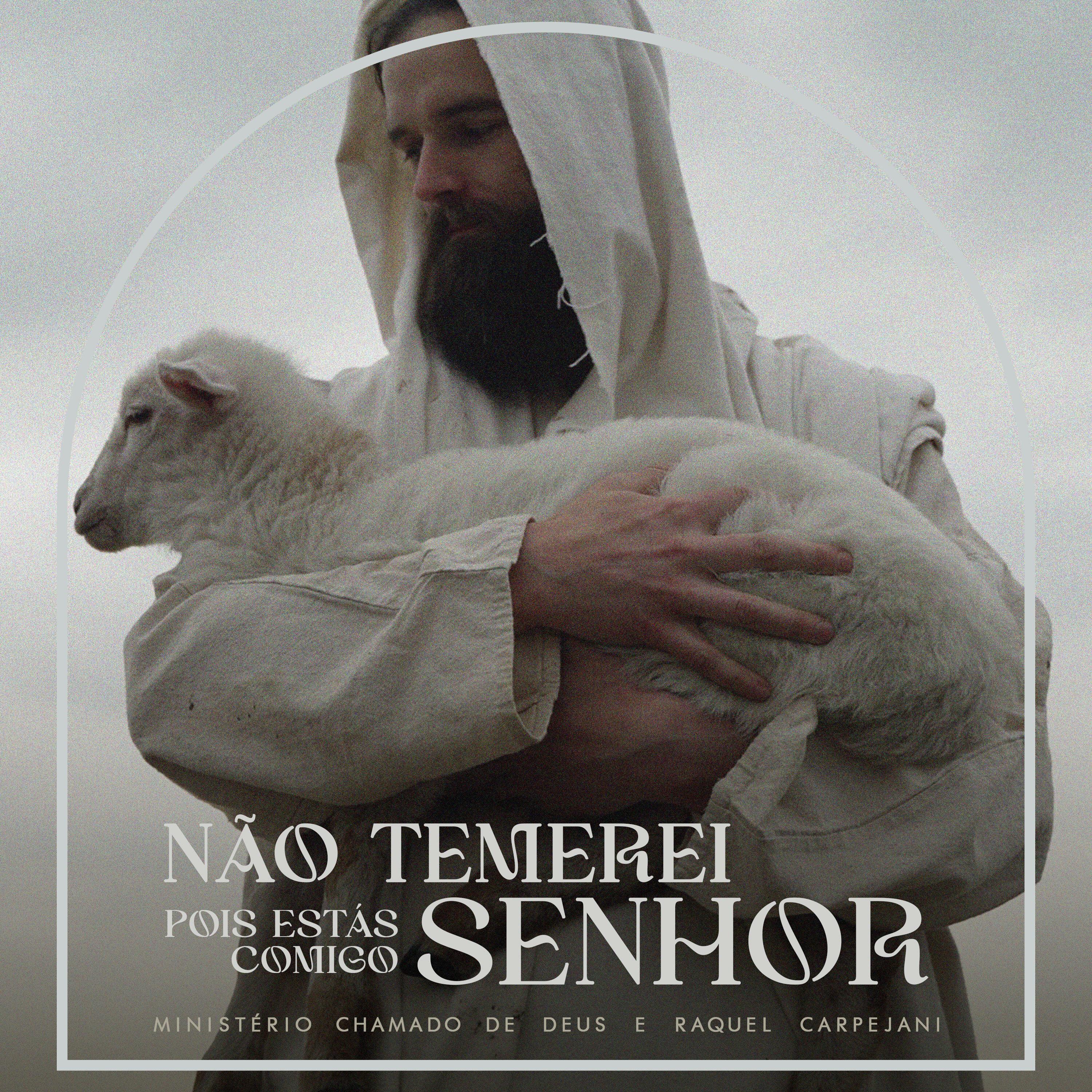 Постер альбома Não Temerei, Senhor, Pois Estás Comigo (Salmo 23)